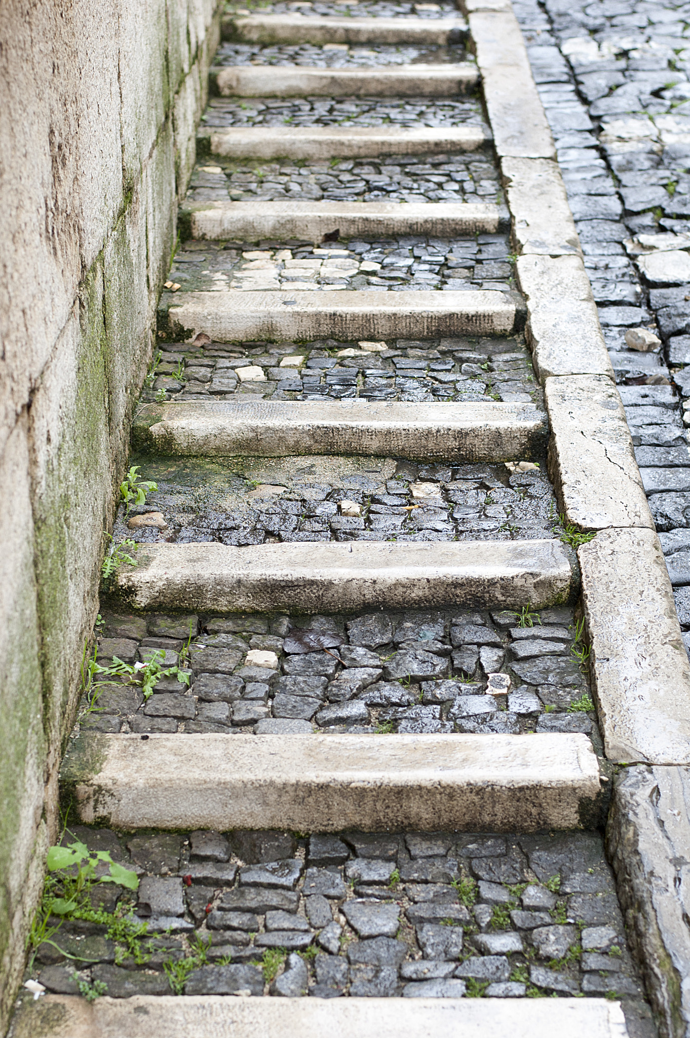 Nikon D40 + Nikon AF-S Nikkor 50mm F1.8G sample photo. Lisbon photography