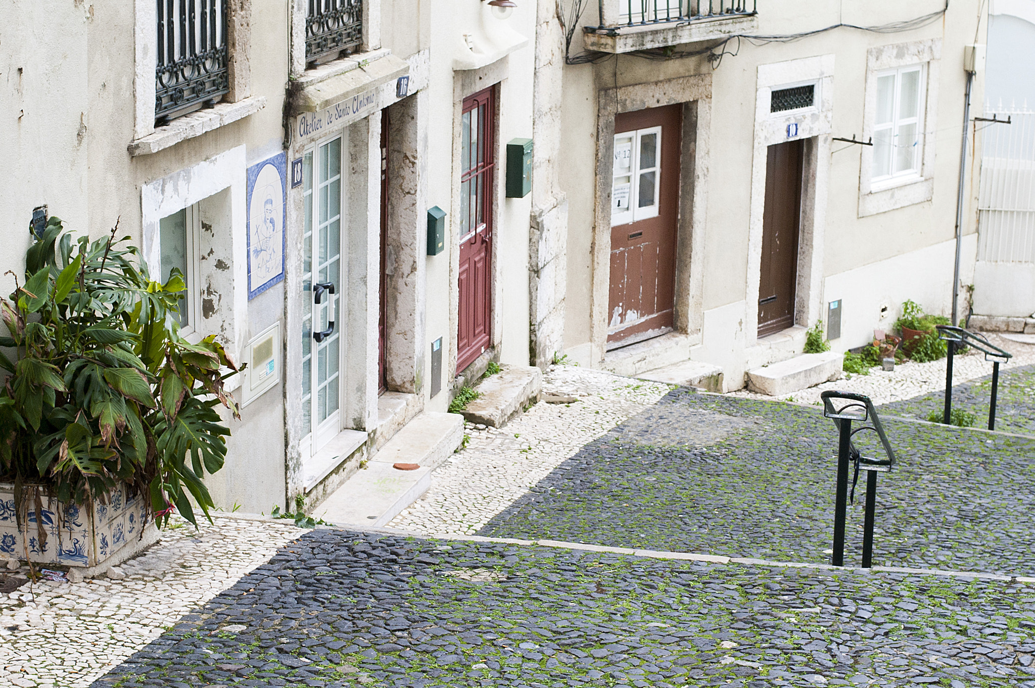 Nikon D40 + Nikon AF-S Nikkor 50mm F1.8G sample photo. Lisbon photography