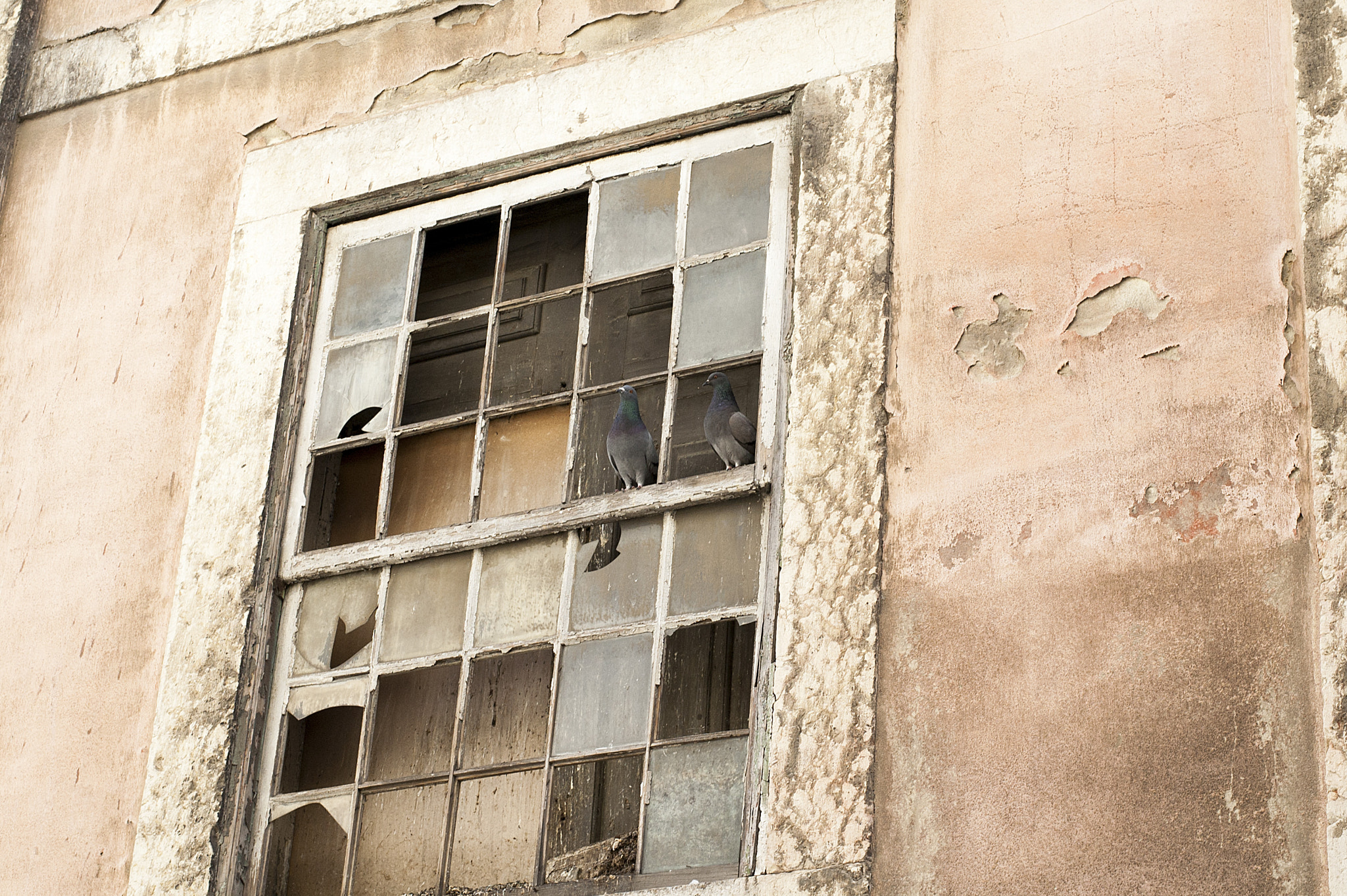 Nikon D40 + Nikon AF-S Nikkor 50mm F1.8G sample photo. Lisbon photography