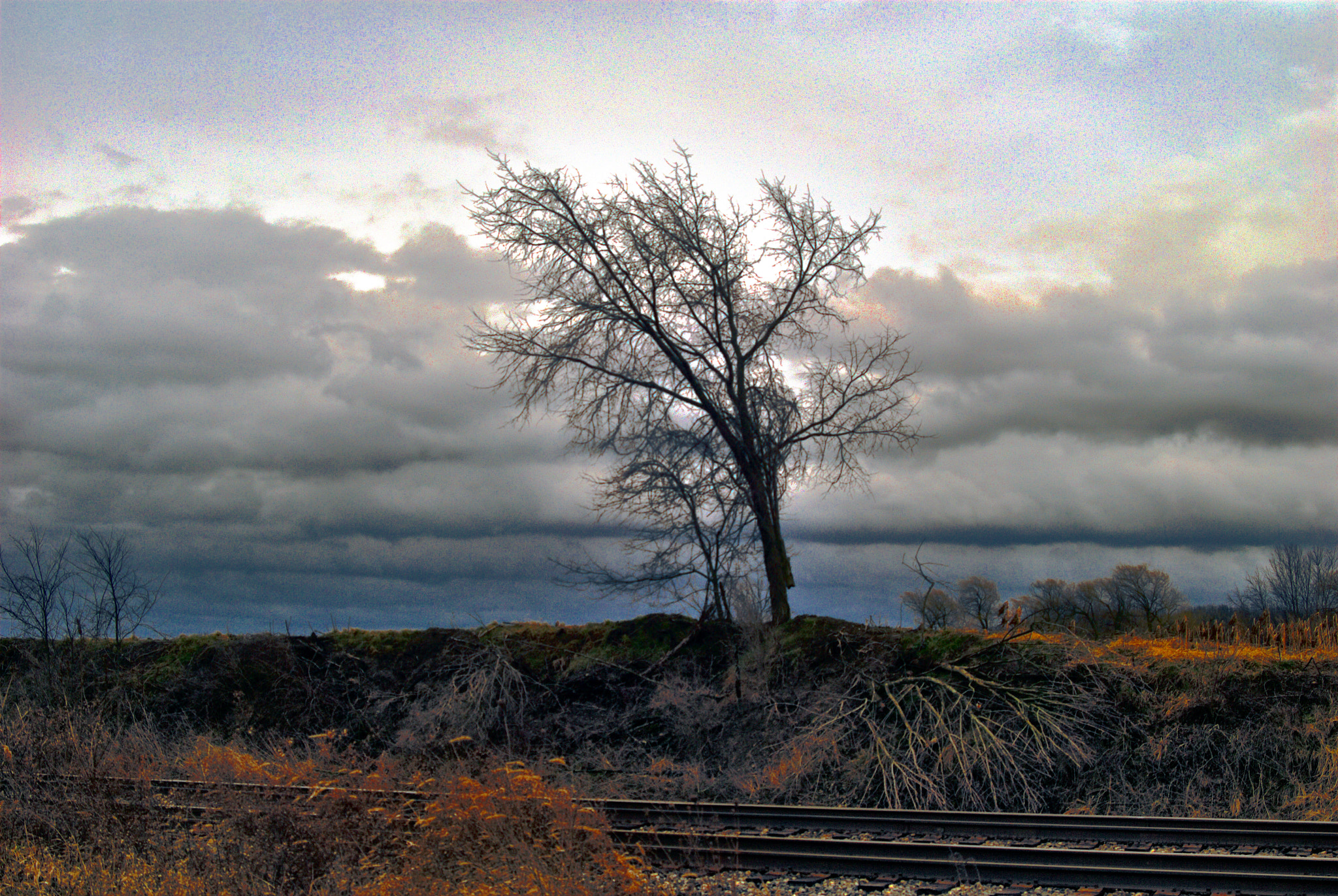 Nikon D200 + Manual Lens No CPU sample photo. Rails photography
