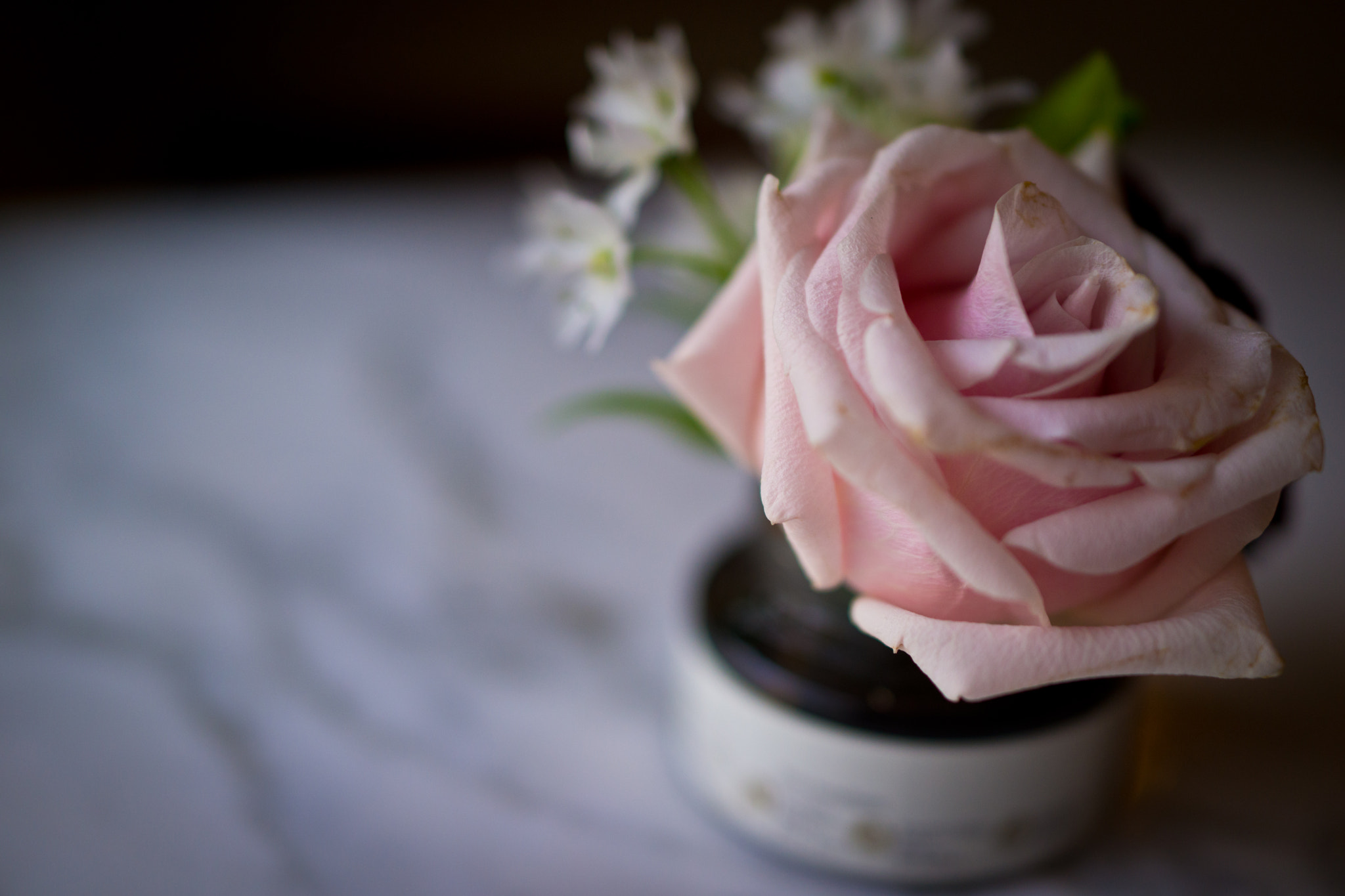 Sony Cyber-shot DSC-RX1R + 35mm F2.0 sample photo