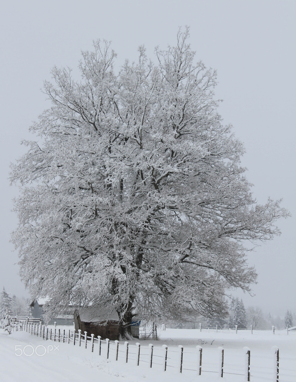 Canon EF-S 18-55mm F3.5-5.6 IS sample photo. After a winter storm photography
