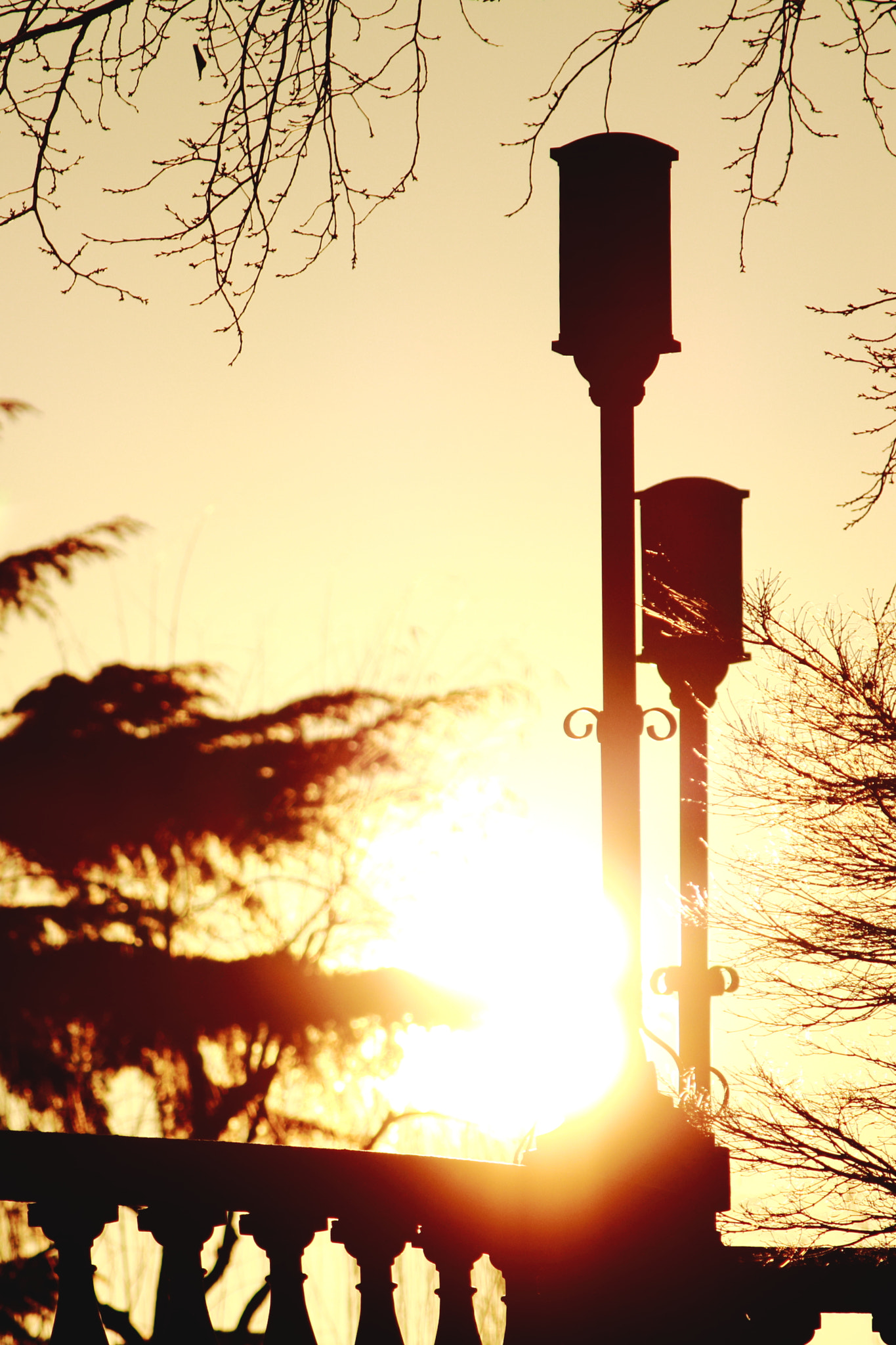 Canon EOS 100D (EOS Rebel SL1 / EOS Kiss X7) sample photo. Rising sun on tsurumai park photography