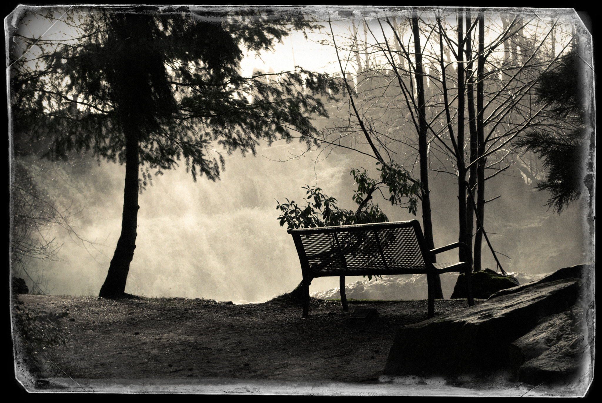 Nikon D60 sample photo. Bench at tumwater falls photography