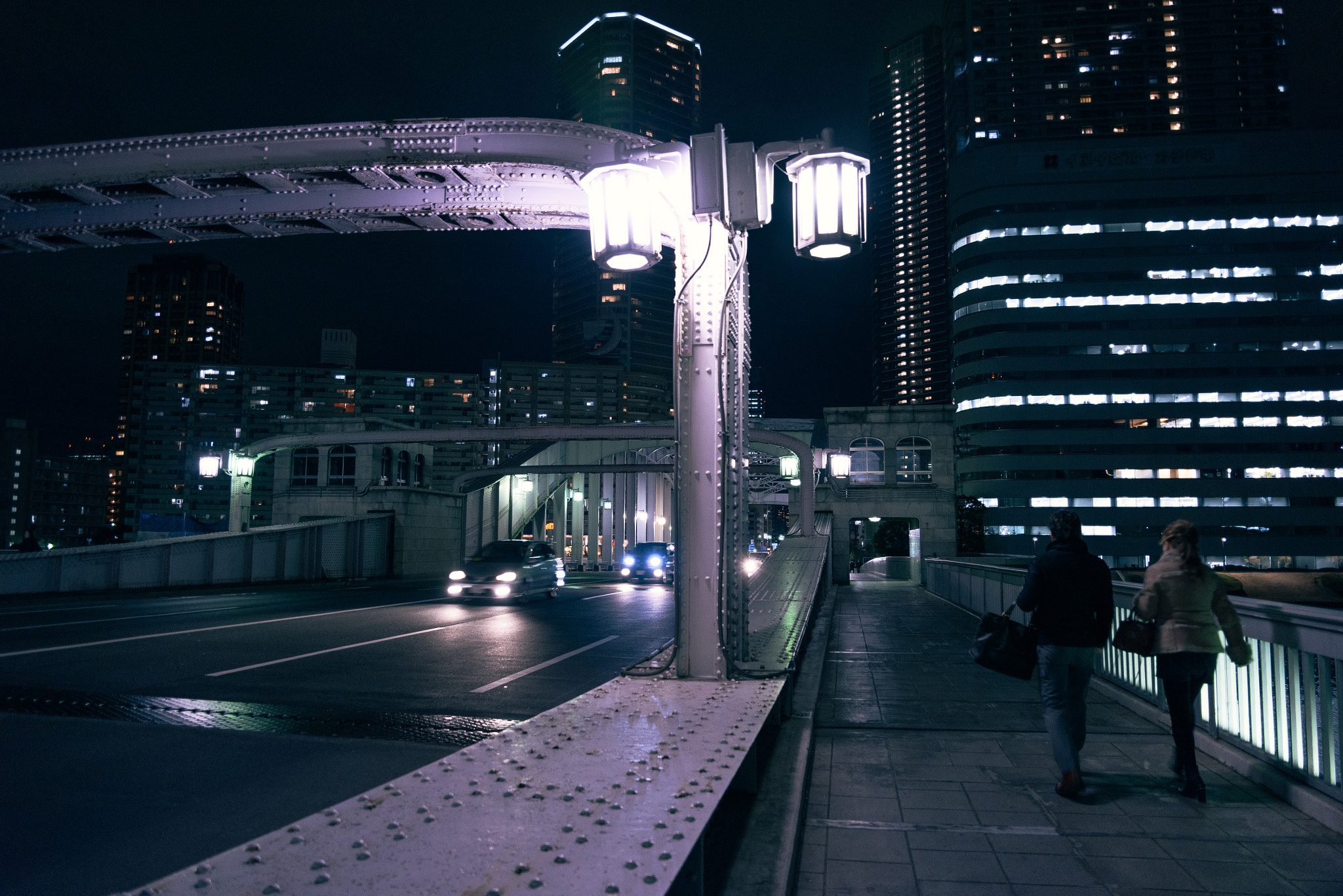 Nikon D810 sample photo. On the bridge 2 photography