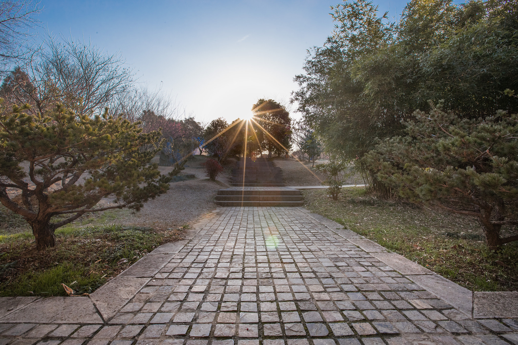 Canon EF 16-35mm F2.8L II USM sample photo. Morning photography