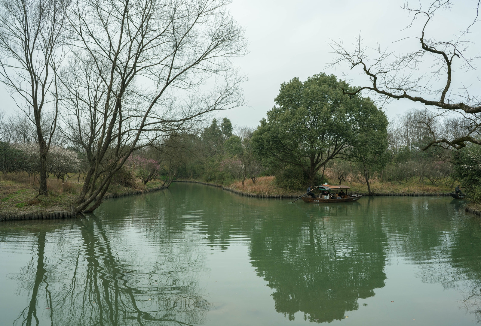 ZEISS Batis 25mm F2 sample photo