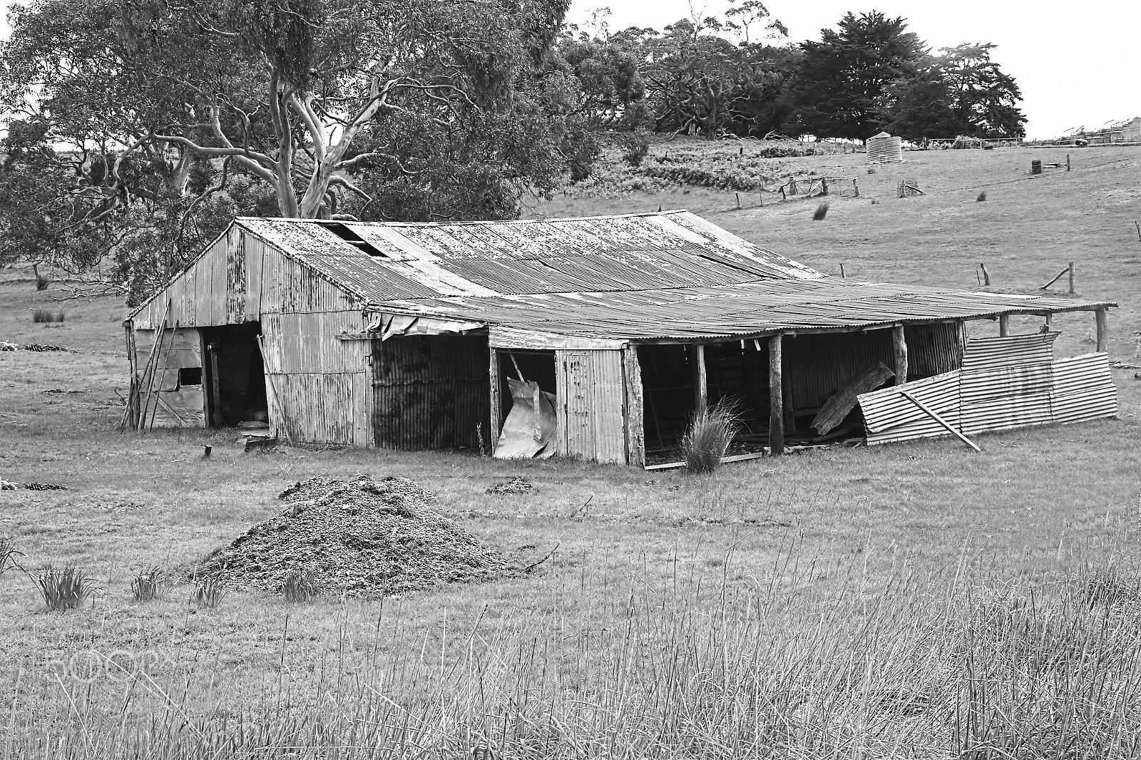 Sigma 24-105mm f/4 DG OS HSM | A sample photo. Ruin b&w photography
