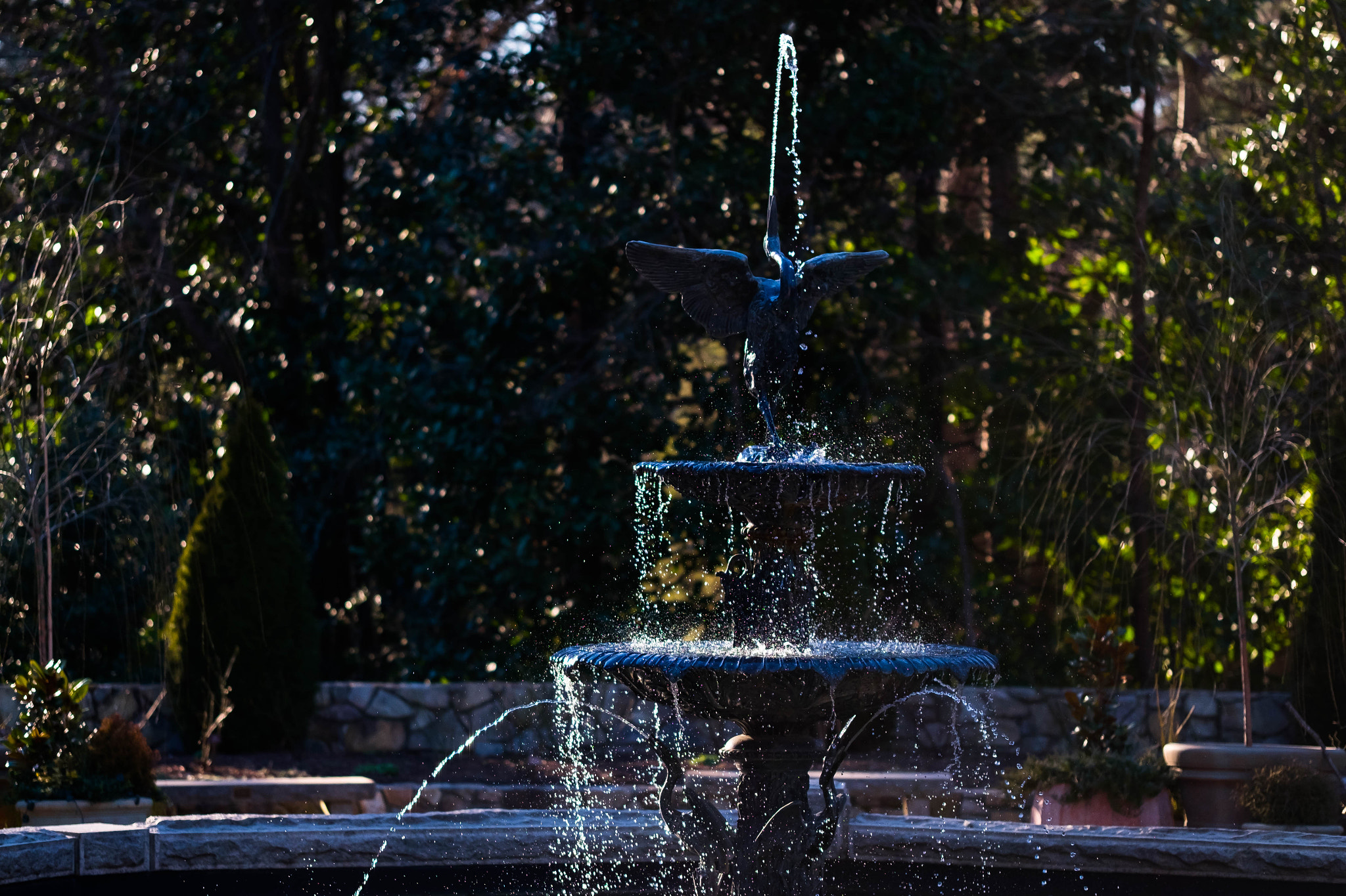 Fujifilm X-T1 + Fujifilm XF 90mm F2 R LM WR sample photo. Fuji la photography