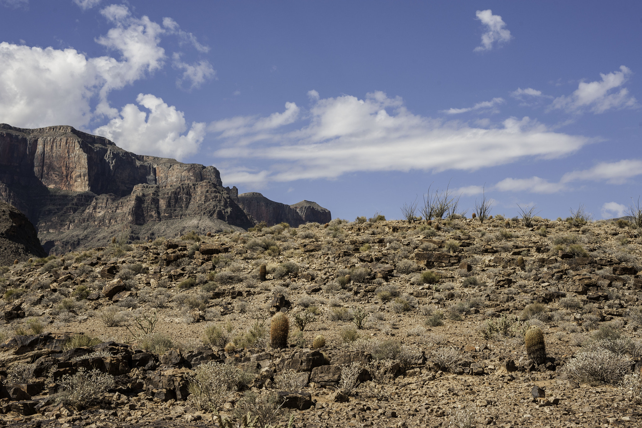 Nikon AF-S Nikkor 28-70mm F2.8 ED-IF sample photo. Grand canyon photography