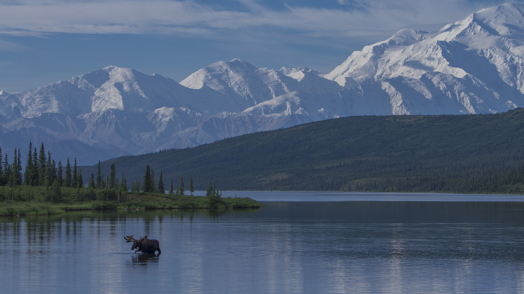 Sony Alpha NEX-5N + Sony 70-400mm F4-5.6 G SSM II sample photo. Moose and the mountain photography