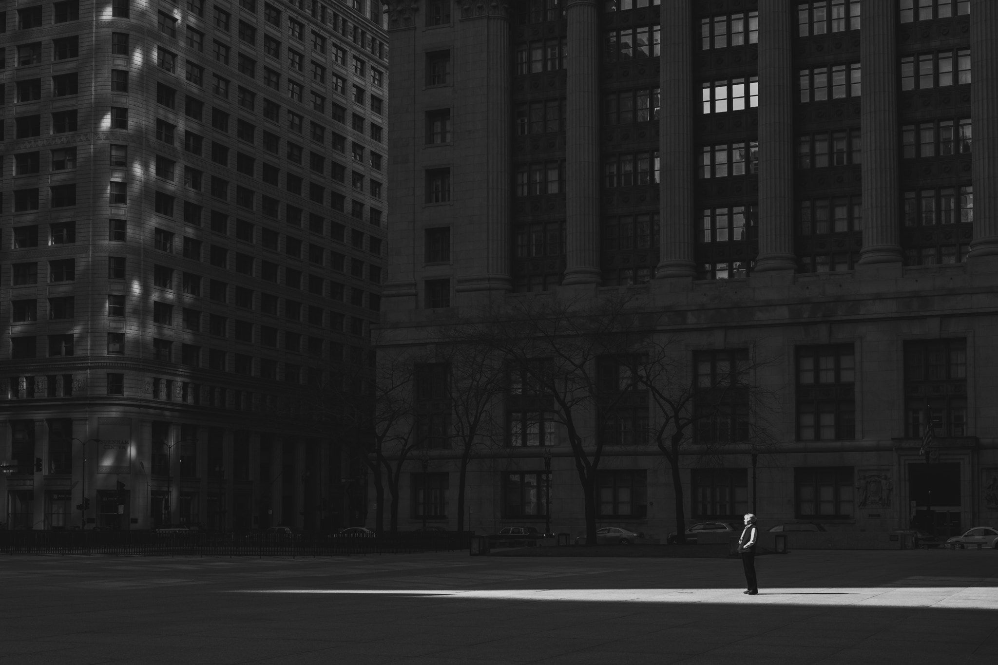 Canon EF 35mm F1.4L II USM sample photo. Embracing sunlight photography