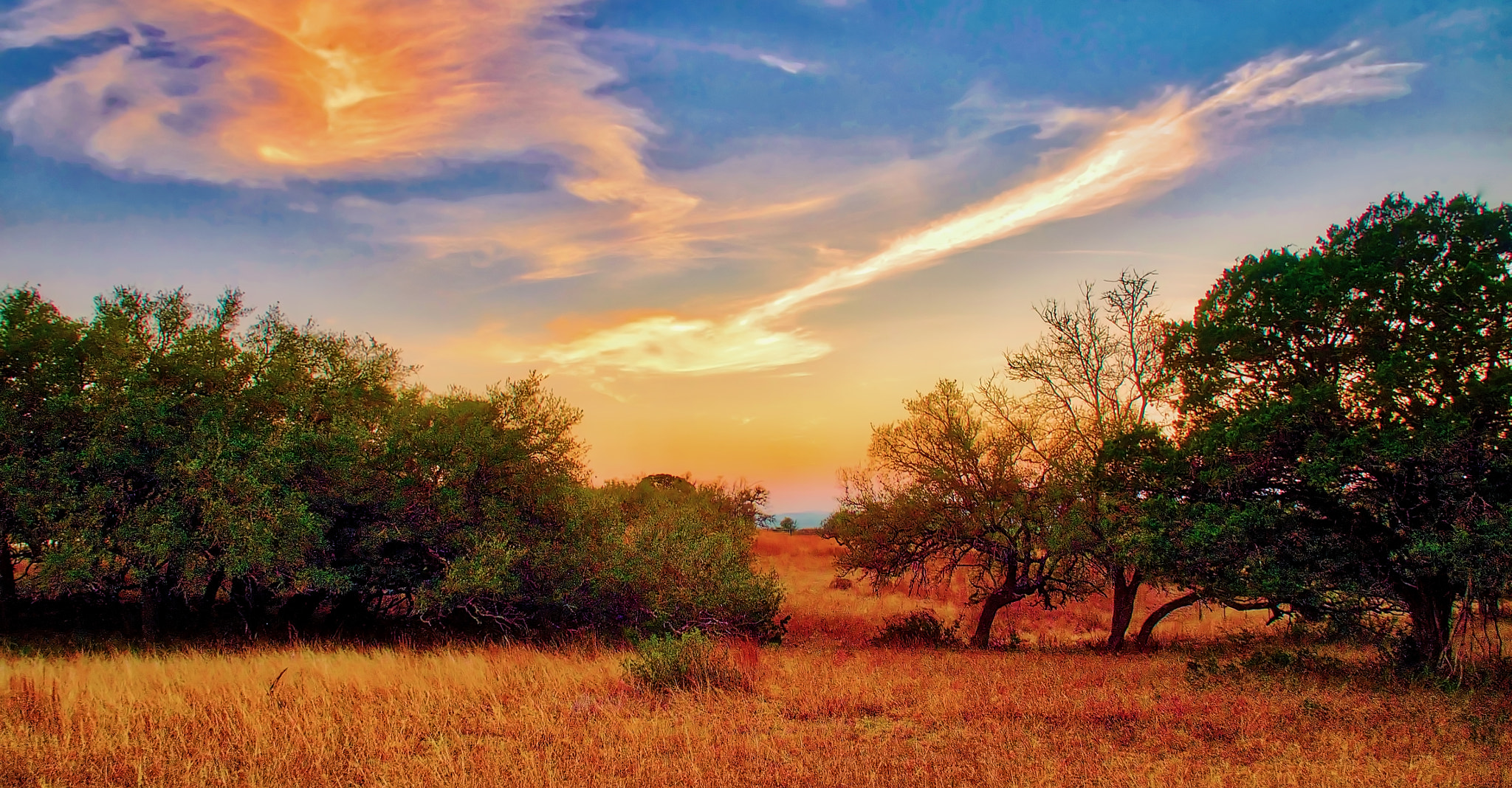 Olympus OM-D E-M1 sample photo. Hill country sunset photography