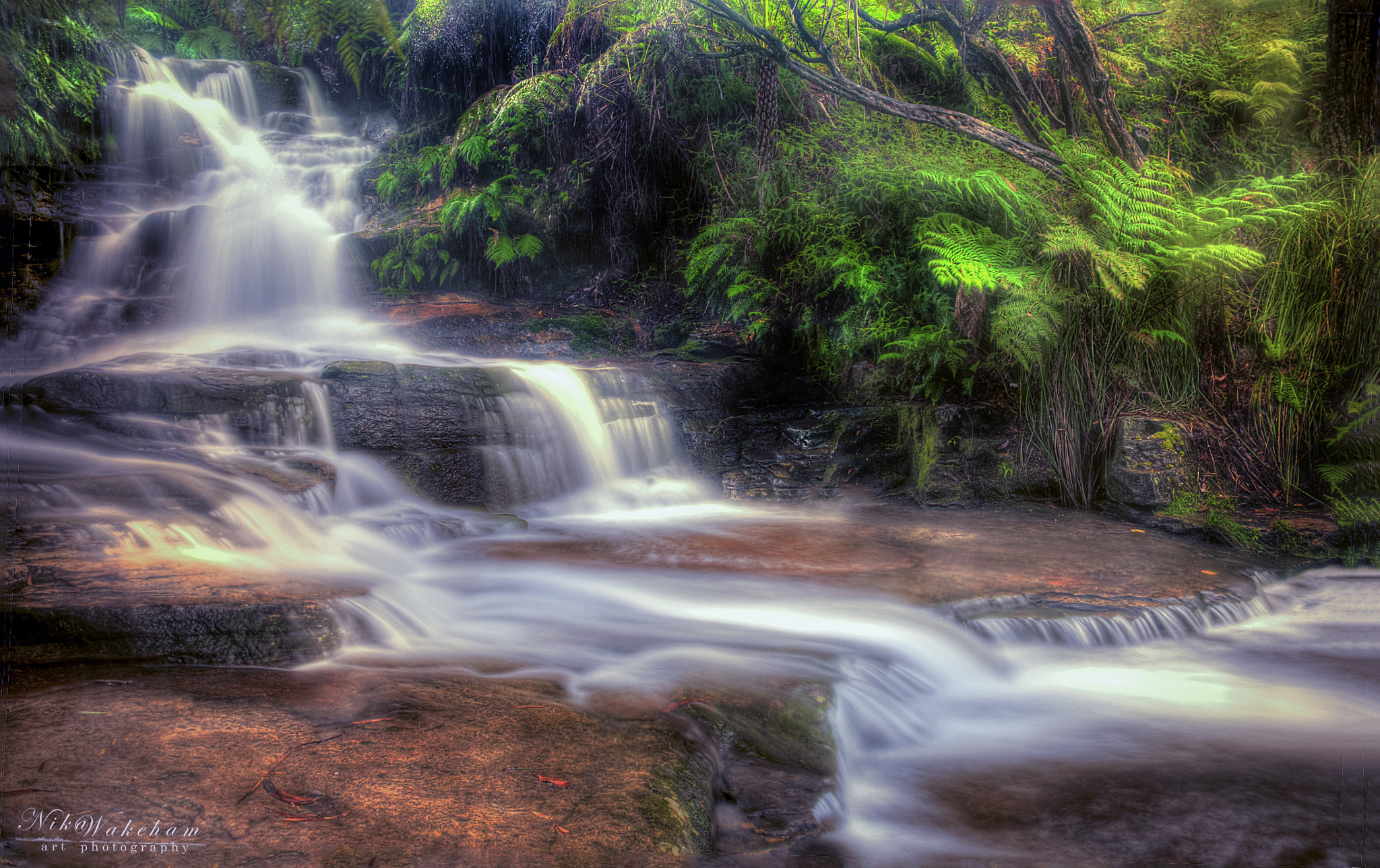 Nikon D700 sample photo. Tonemapped photography