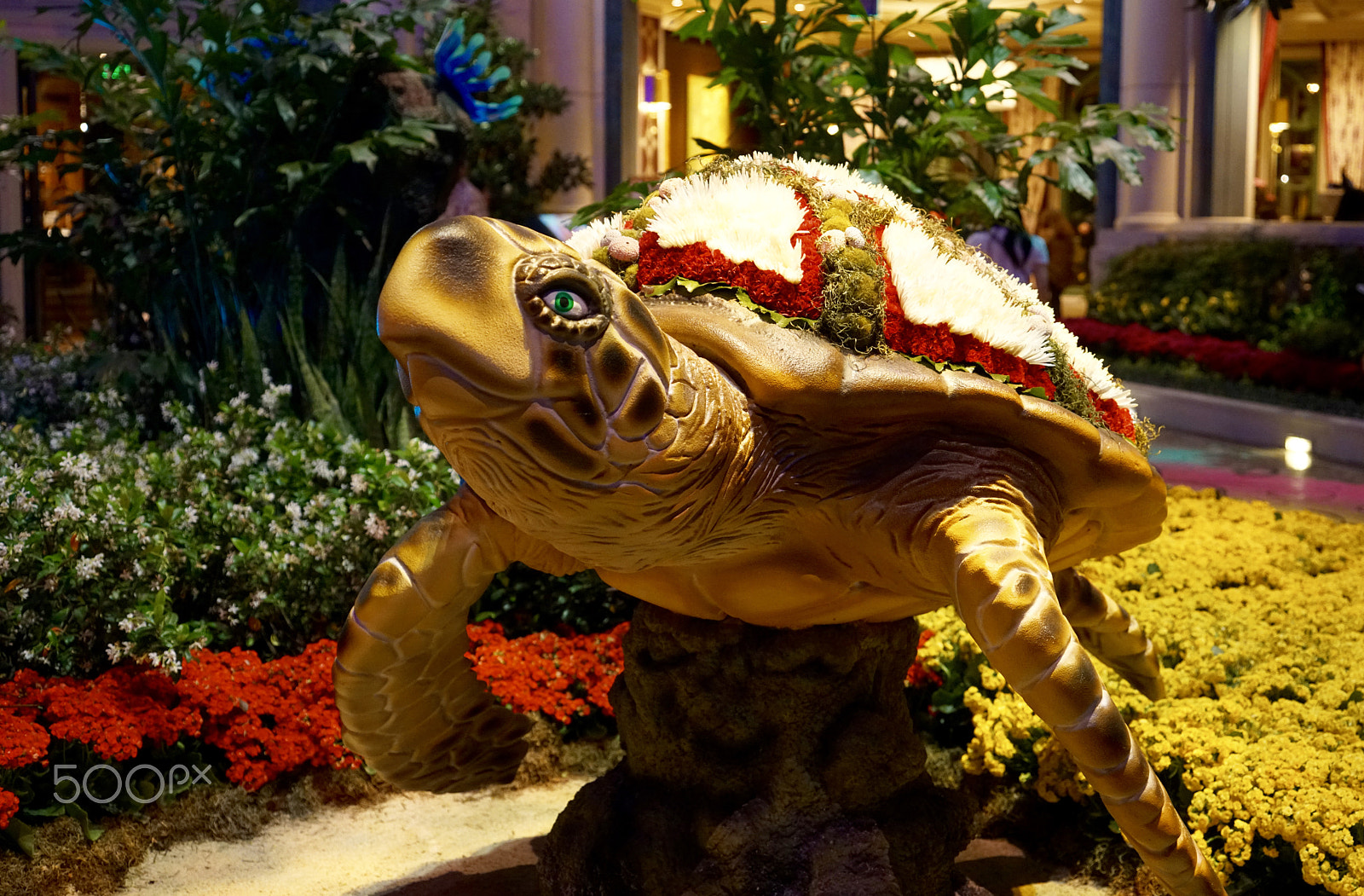 Sony a7R II + Sony Vario Tessar T* FE 24-70mm F4 ZA OSS sample photo. The turtle at bellagio, las vegas! photography