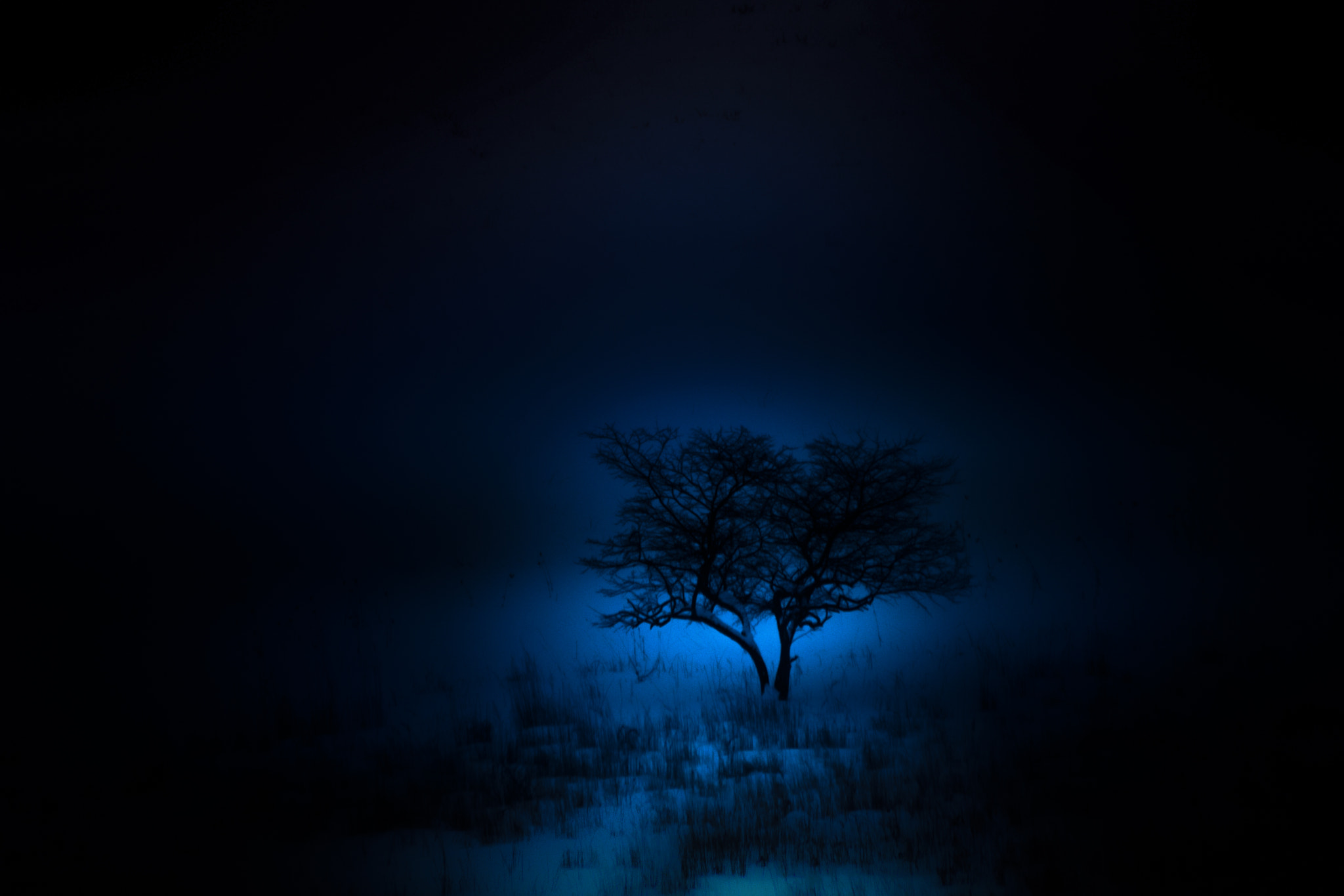 Sony DT 55-200mm F4-5.6 SAM sample photo. Dsg photography