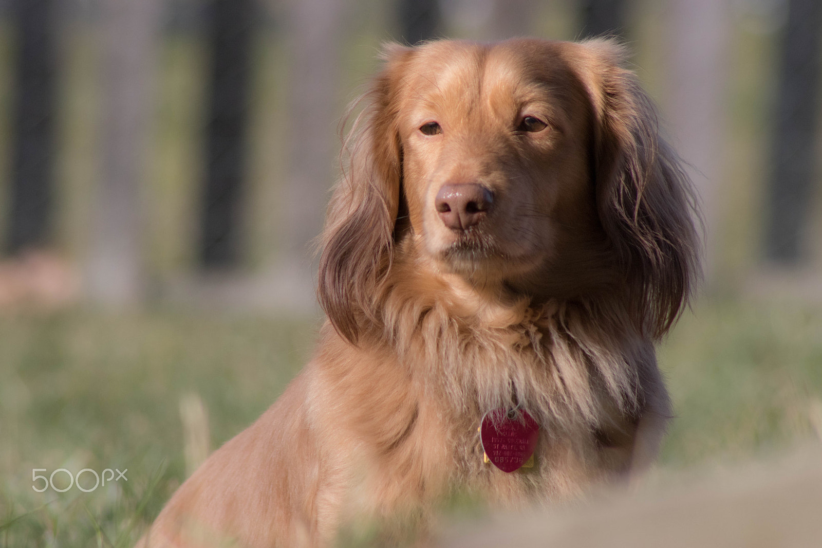 EF75-300mm f/4-5.6 sample photo. Mg photography