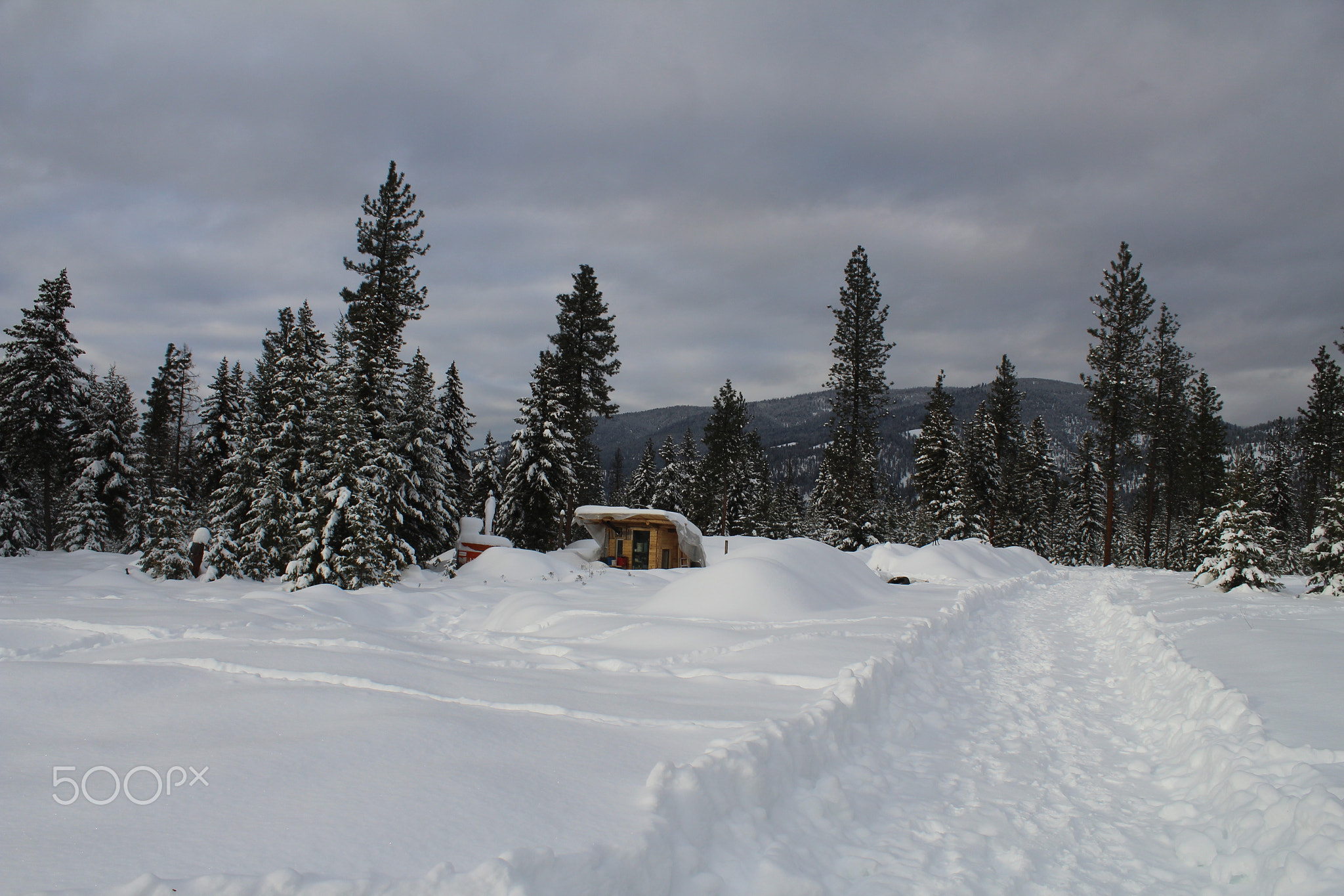 Off grid natural tiny house in Western Montana