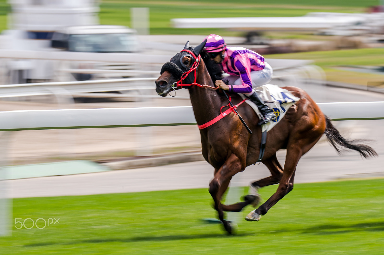 Canon EOS-1D X Mark II sample photo. Horse racing photography