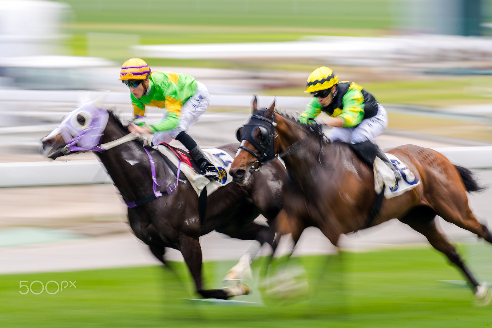 Canon EOS-1D X Mark II sample photo. Horse racing photography