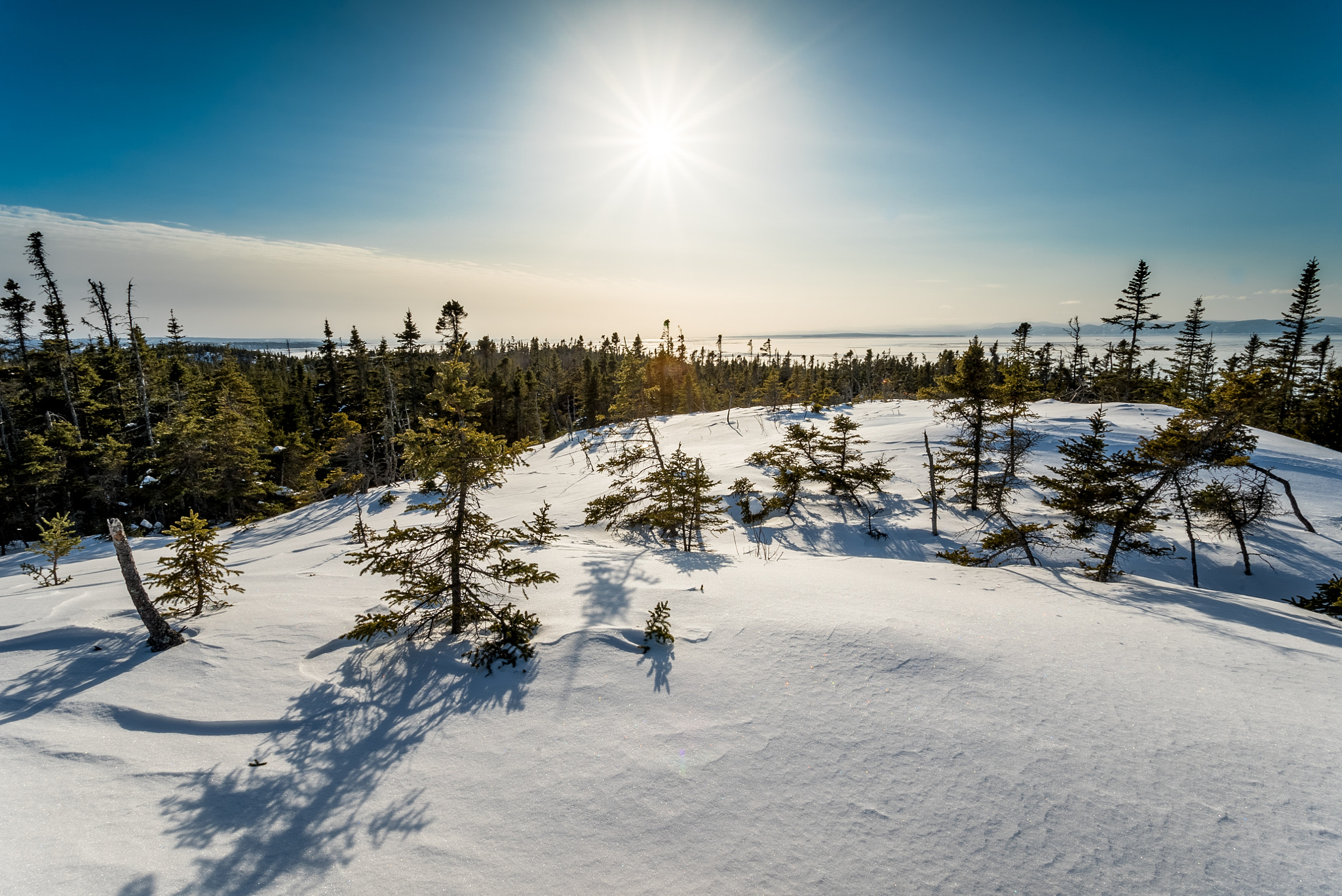 Sony a7S + Sony DT 50mm F1.8 SAM sample photo. Winter photography