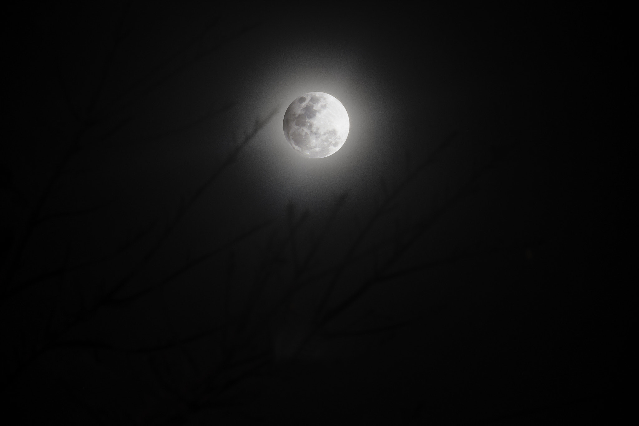 Canon EOS 550D (EOS Rebel T2i / EOS Kiss X4) sample photo. Moon photography