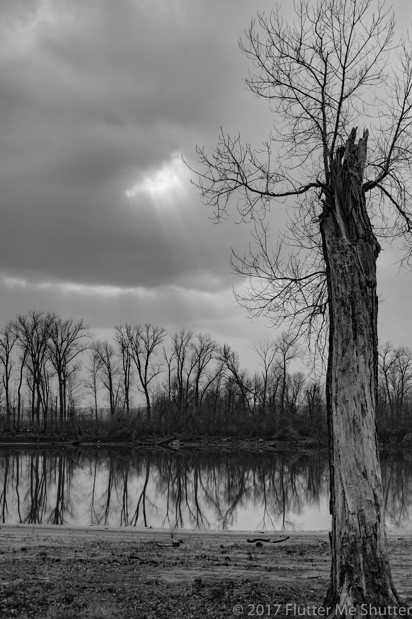 Nikon D700 sample photo. Tree reflection photography