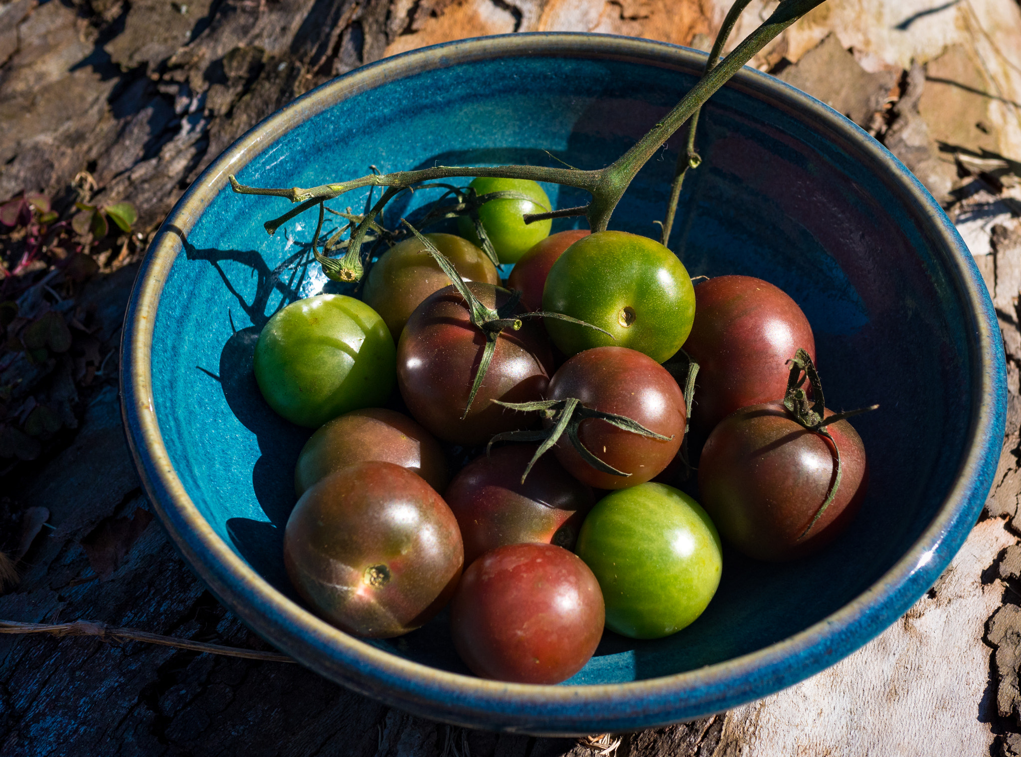 Panasonic Lumix DMC-GX8 + Panasonic Leica DG Summilux 25mm F1.4 II ASPH sample photo. Heirloom tomatoes on display photography