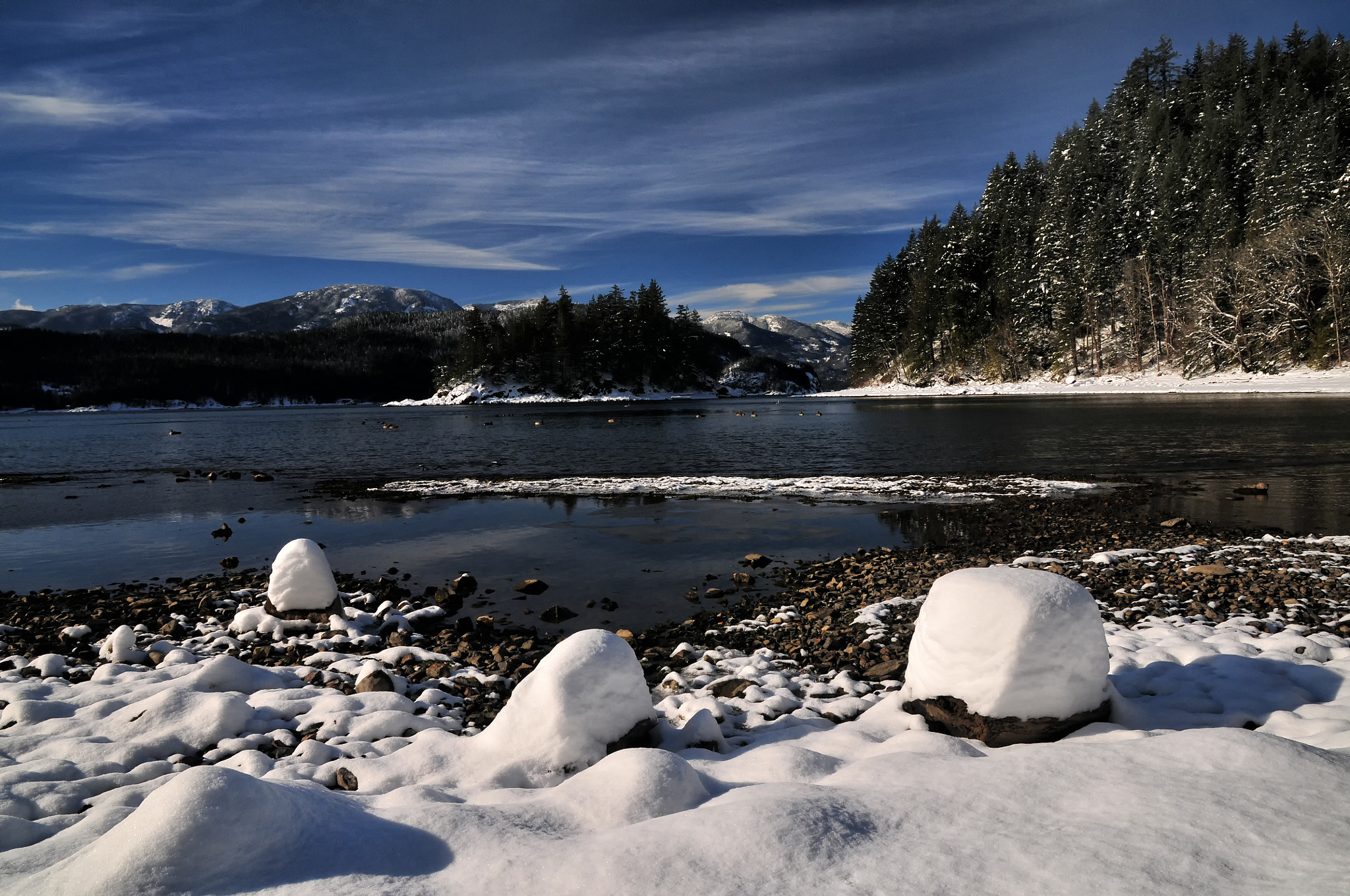 Sigma 17-70mm F2.8-4 DC Macro OS HSM | C sample photo. Green point in winter photography