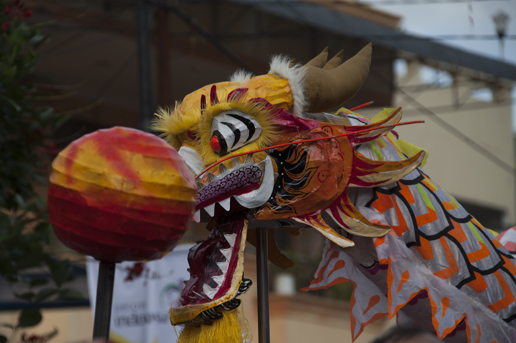 Canon EF 28-300mm F3.5-5.6L IS USM sample photo. The dragon photography