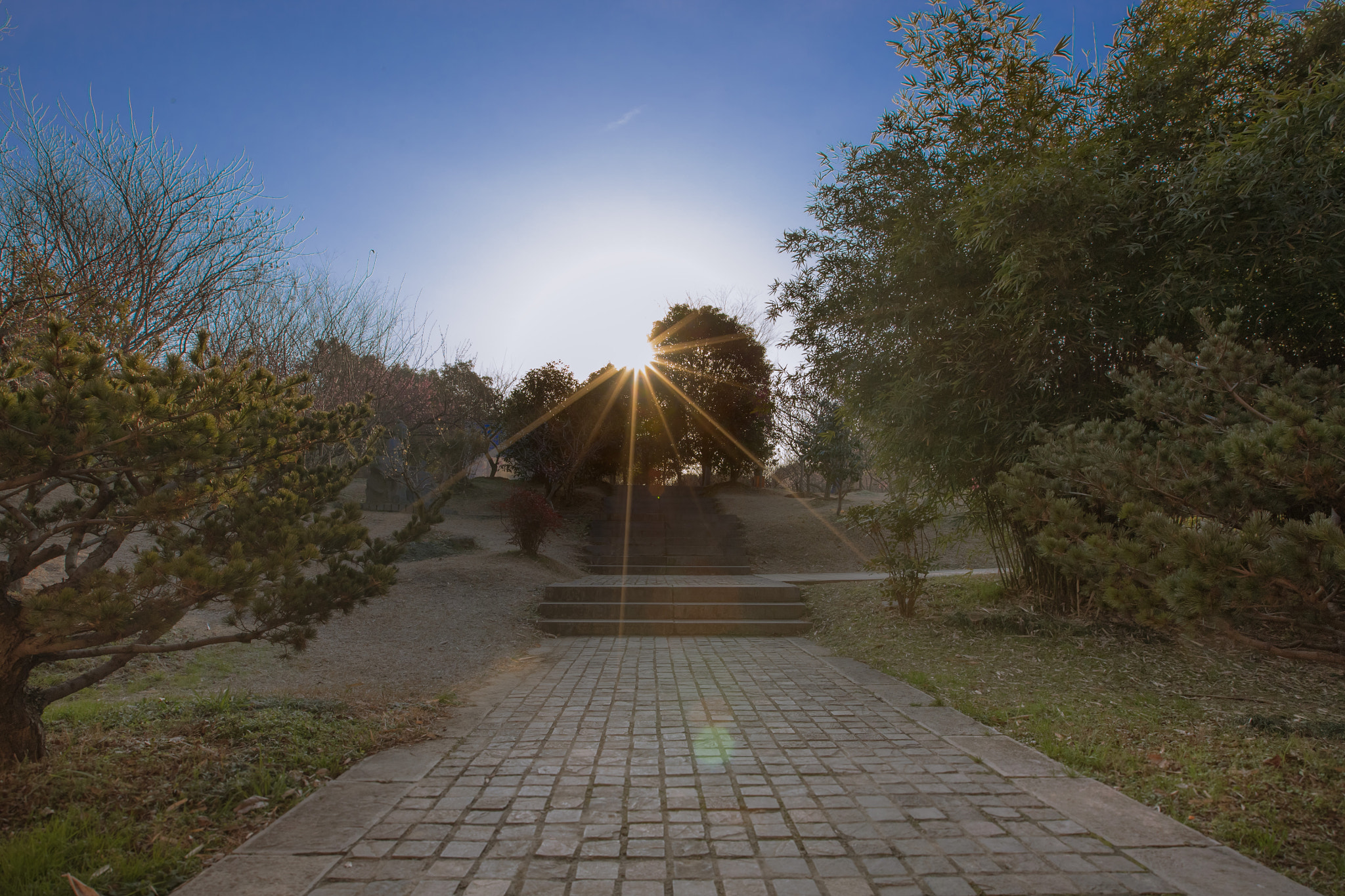 Canon EF 16-35mm F2.8L II USM sample photo. Morning version 2 photography