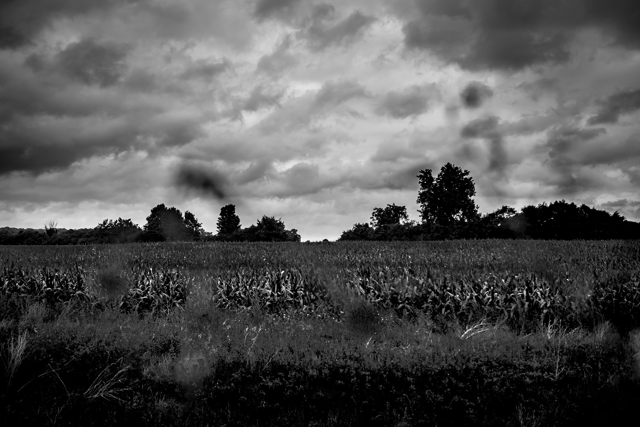 Canon EF 16-35mm F2.8L II USM sample photo. High contrast landscape photography