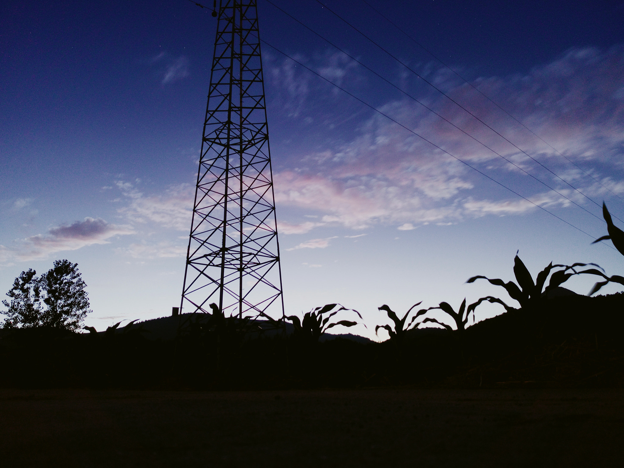 Meizu MX5 sample photo