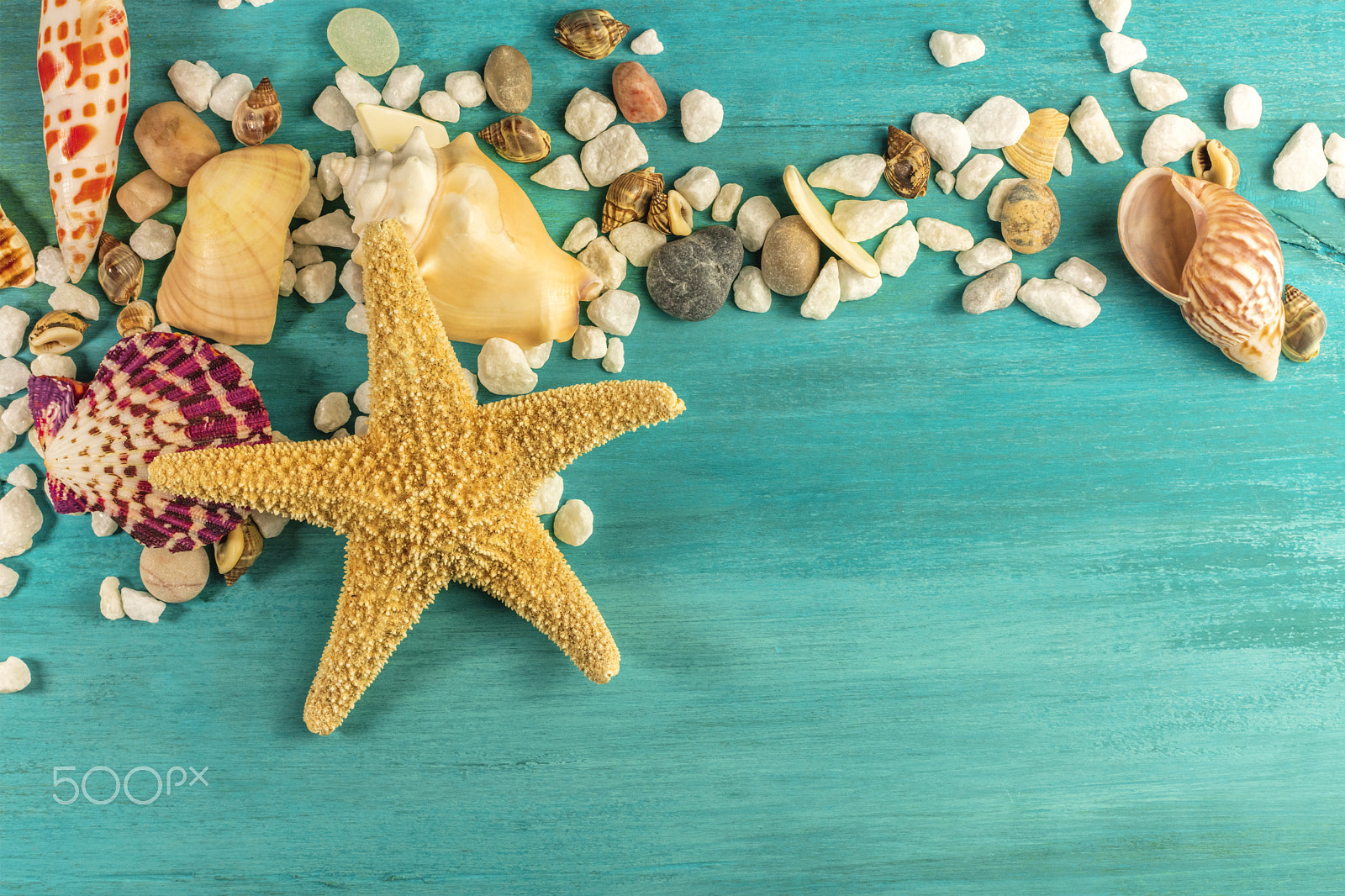 Canon EOS 5DS R sample photo. Starfish, shells, and pebbles on vibrant turquoise background photography