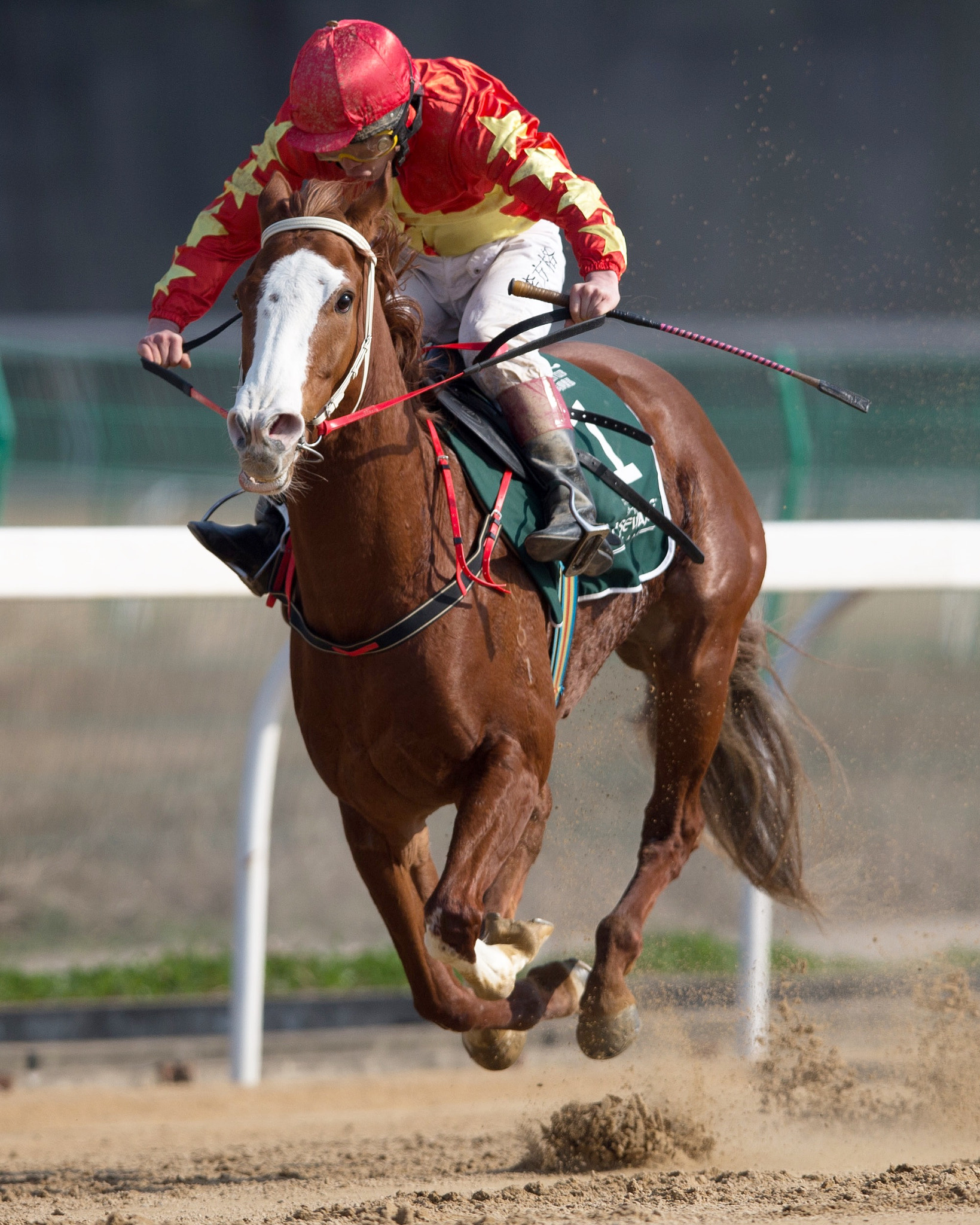 Canon EF 400mm F2.8L IS II USM sample photo. Horse racing photography