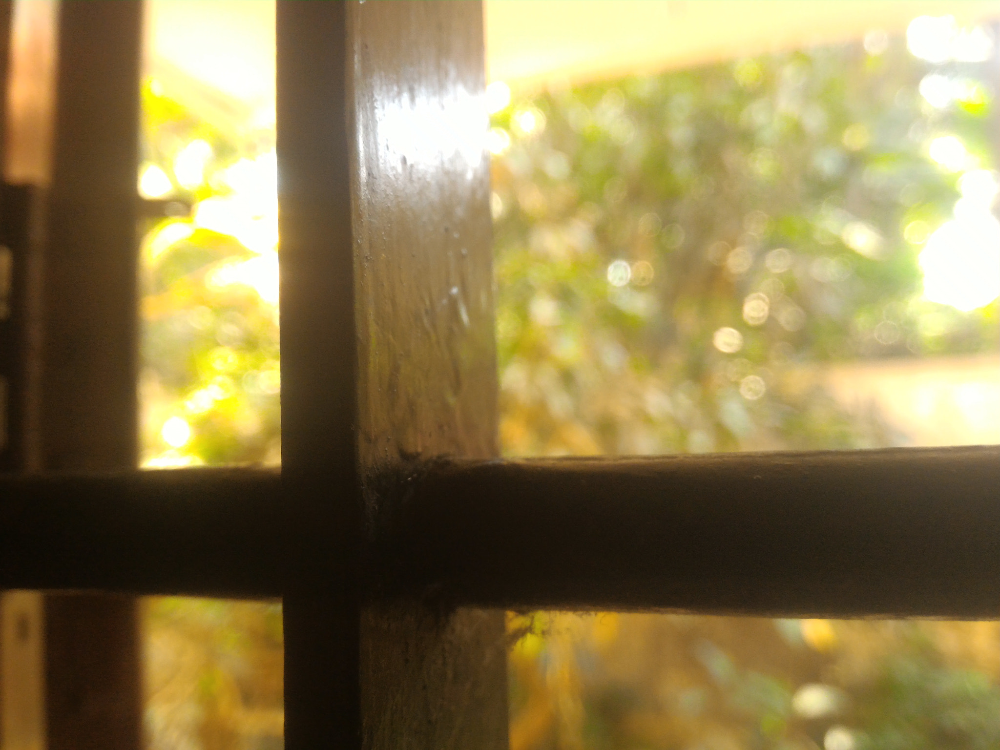 ASUS Z008D sample photo