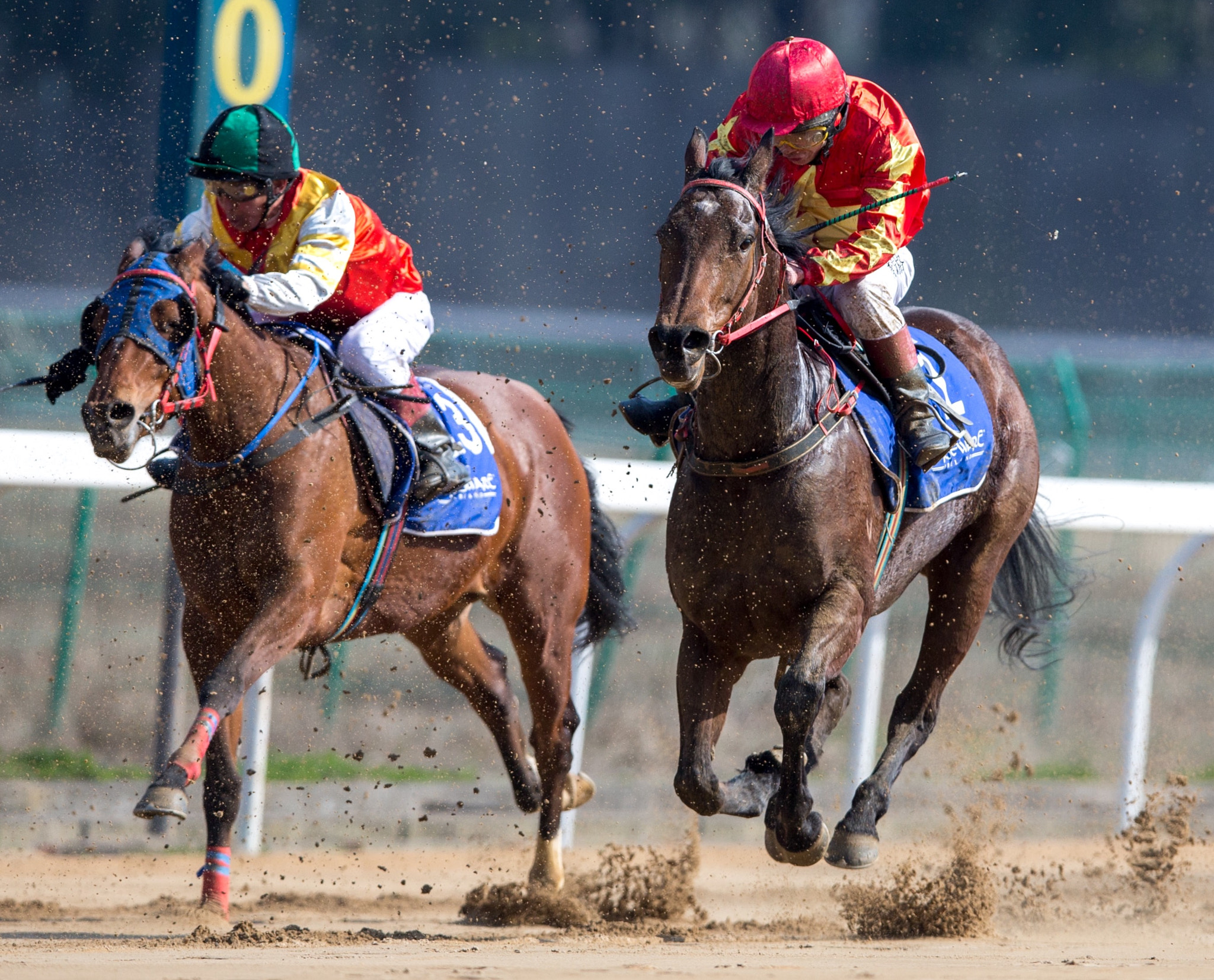 Canon EF 400mm F2.8L IS II USM sample photo. Horse racing photography