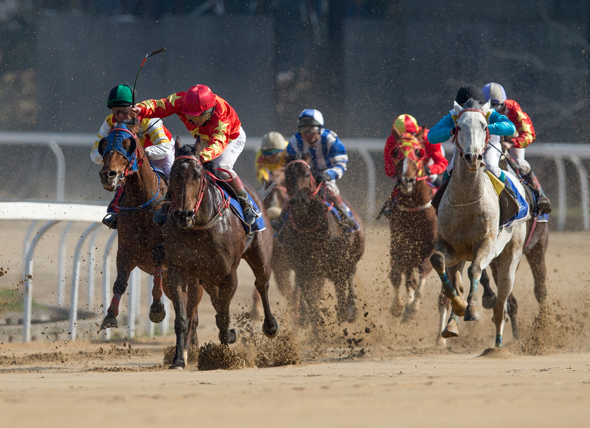 Canon EOS-1D X + Canon EF 400mm F2.8L IS II USM sample photo. Horse racing photography