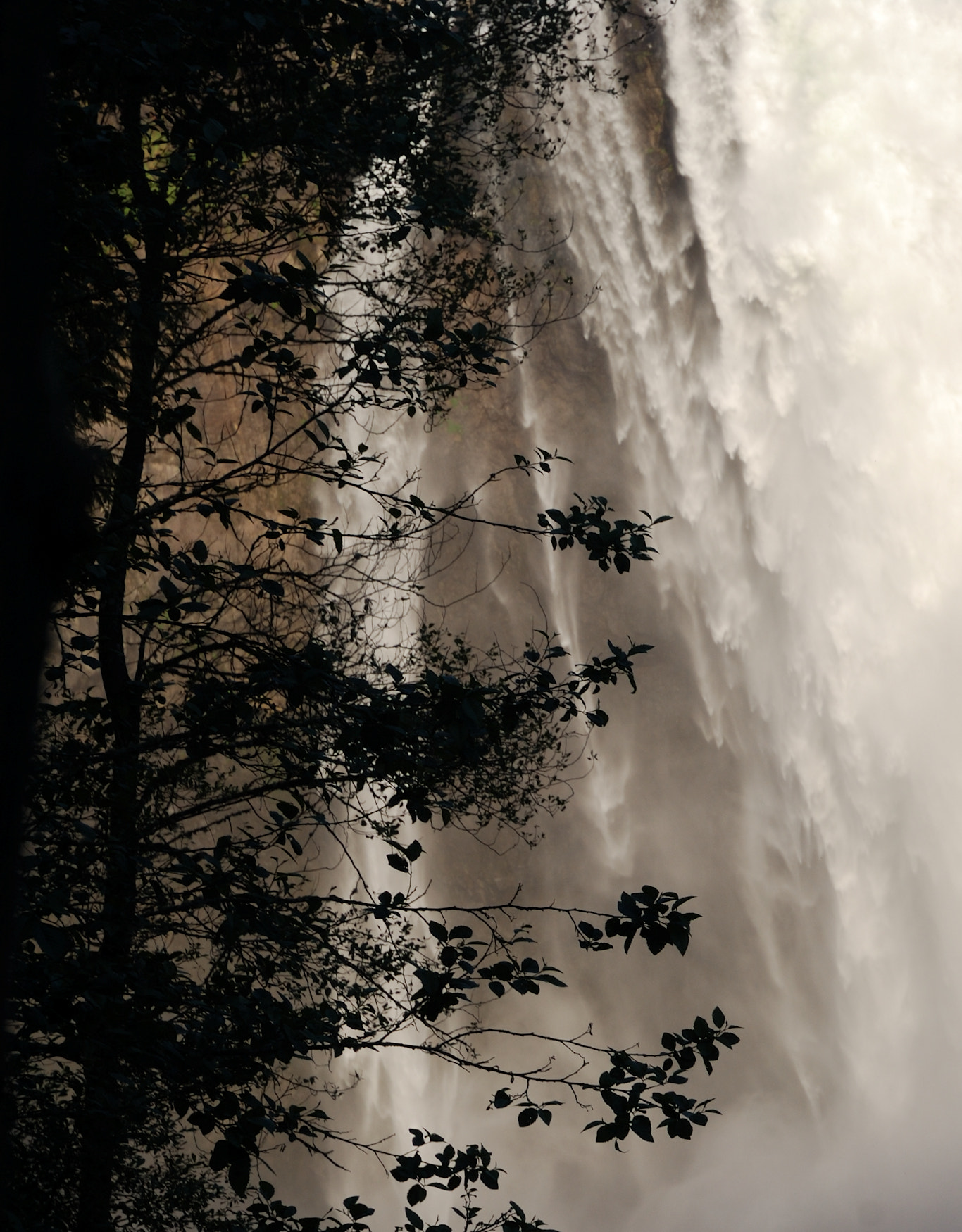 Nikon D40X sample photo. Under snoqualmie falls photography