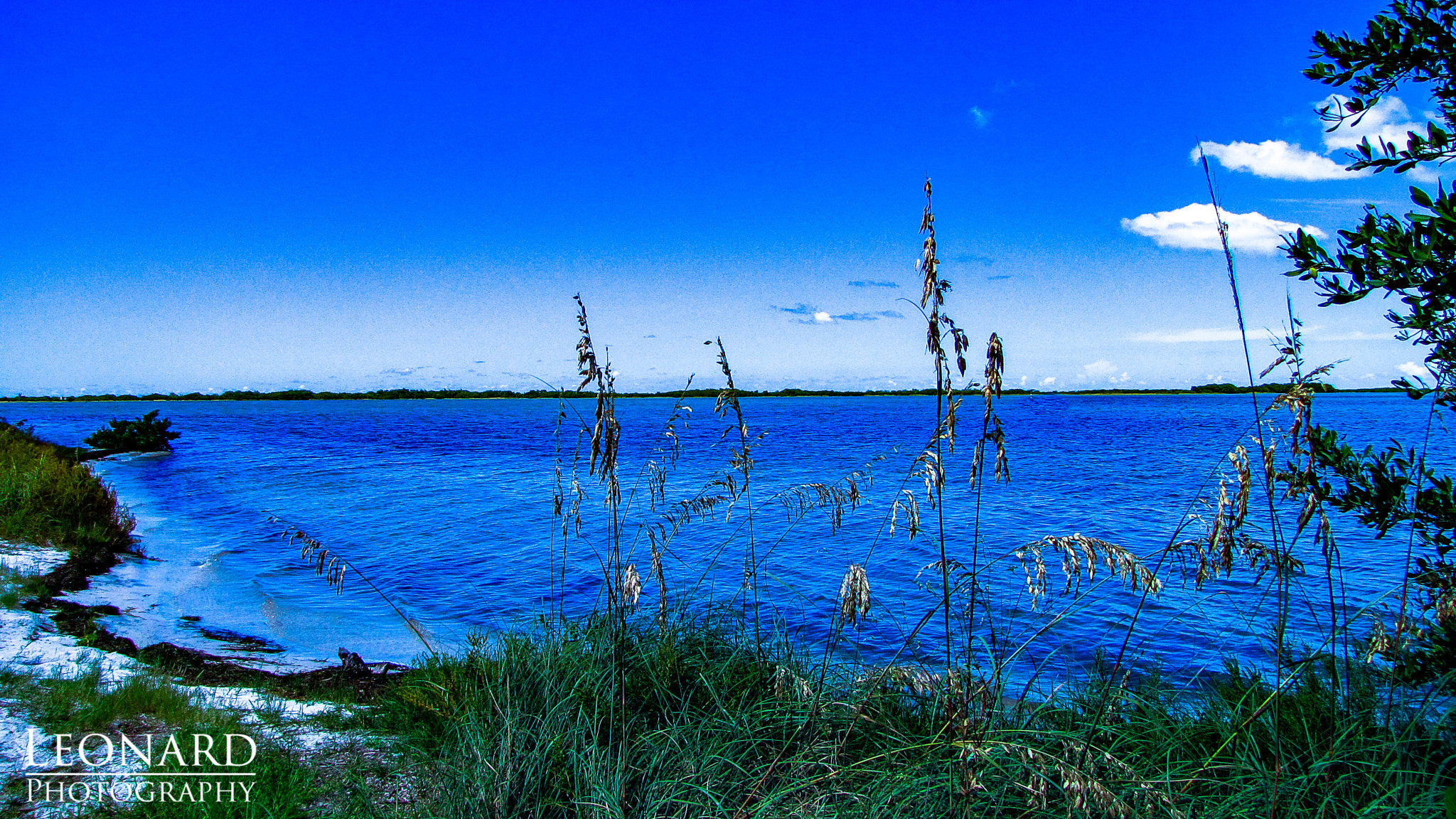 Canon PowerShot SX1 IS sample photo. Seascape honeymoon island photography