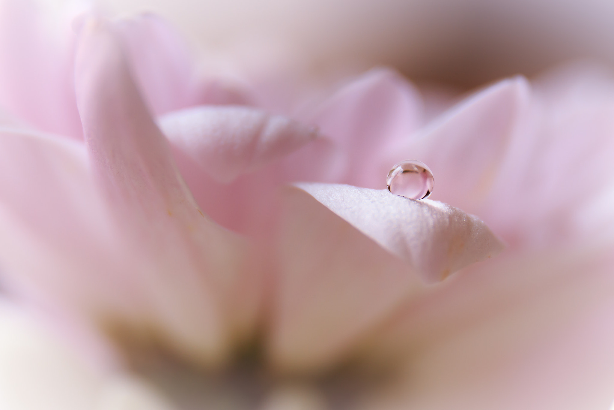 Canon EF 24-70mm F4L IS USM sample photo. *** photography