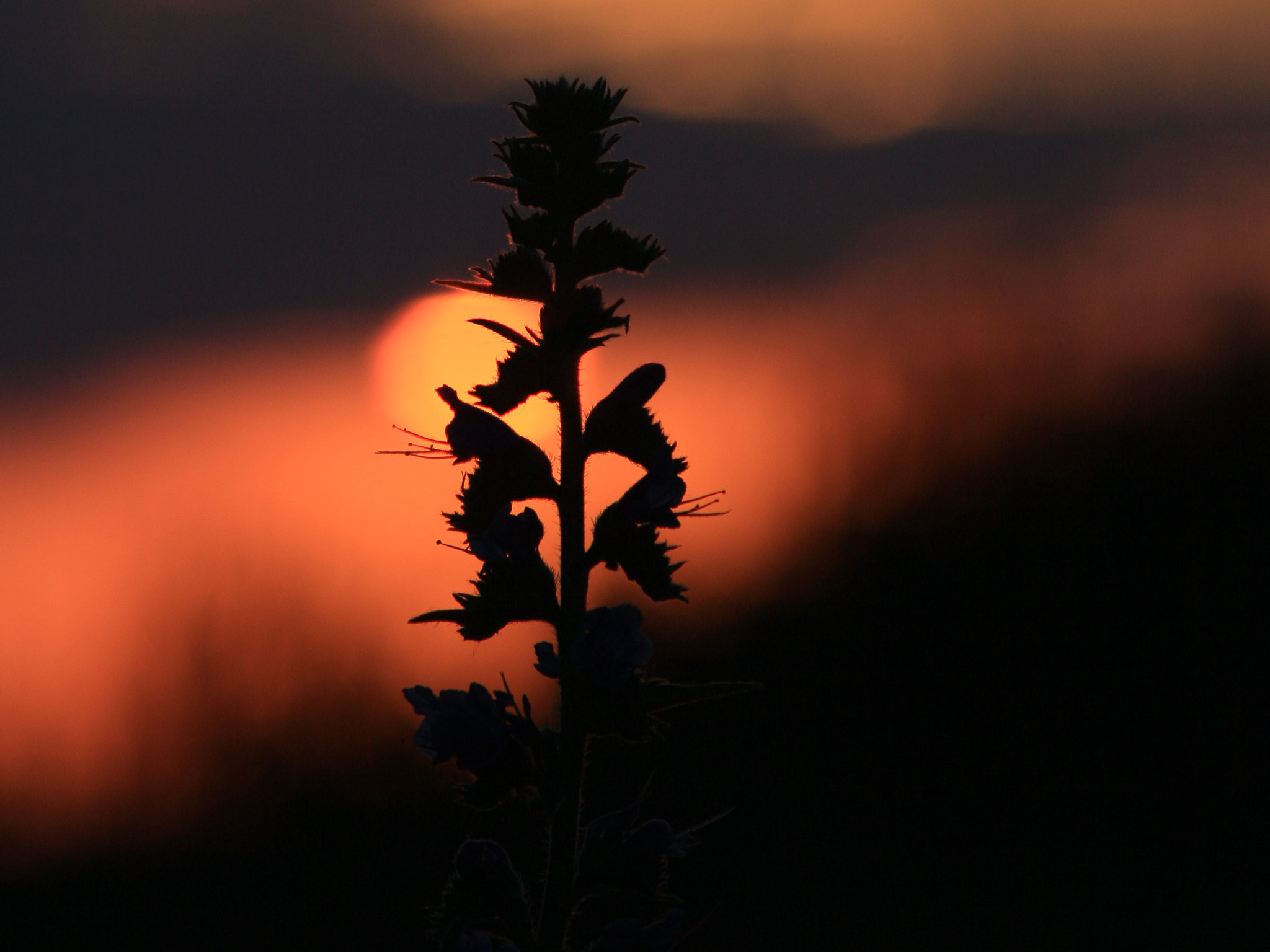 Canon EF 35-80mm f/4-5.6 sample photo. Восход photography