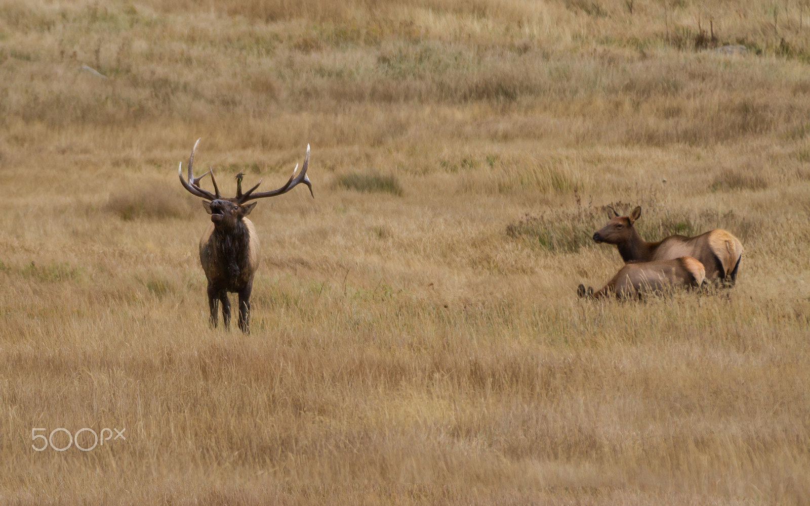 Canon EF 70-200mm F2.8L IS II USM sample photo. Rockies national park photography