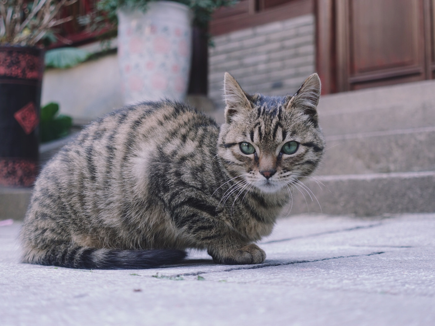 Sony DSC-RX100M5 + Sony 24-70mm F1.8-2.8 sample photo