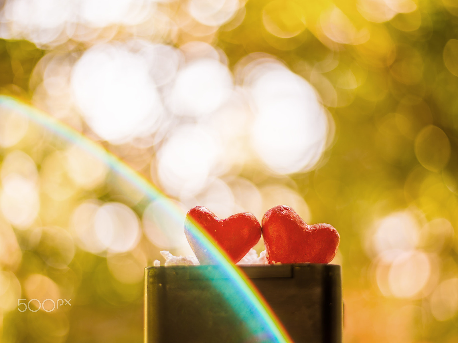 Canon EF 50mm F1.8 STM sample photo. Valentines day photography