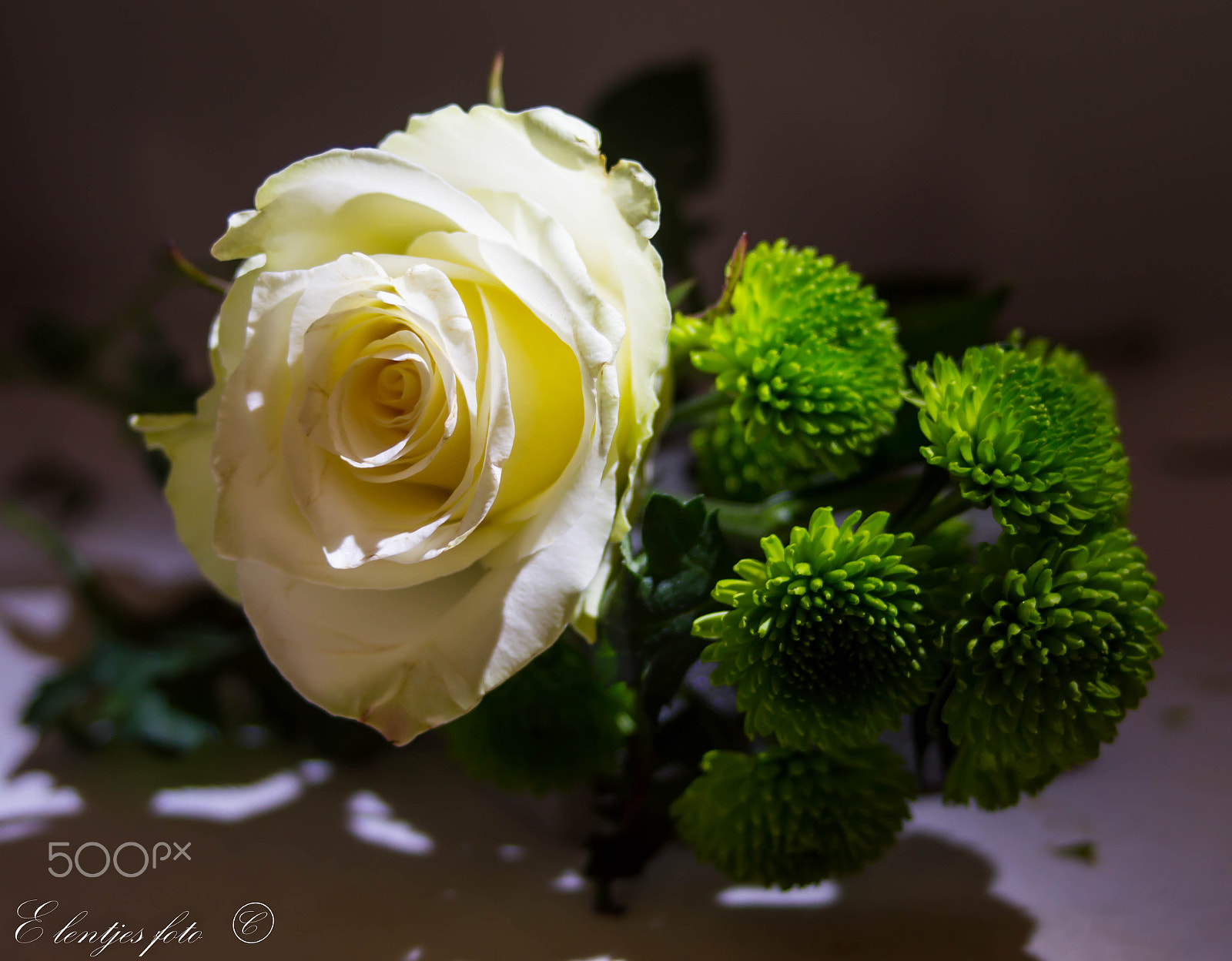 Nikon D3200 sample photo. Stilleven photography