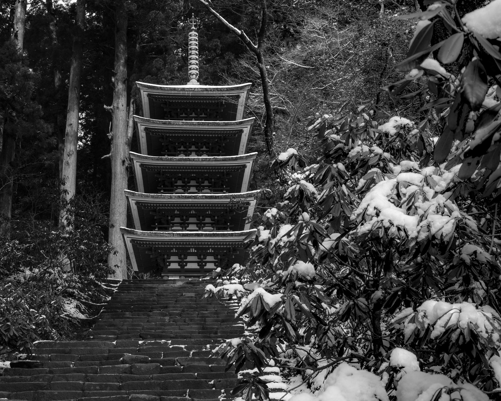AF Zoom-Nikkor 28-105mm f/3.5-4.5D IF sample photo. 室生寺 photography