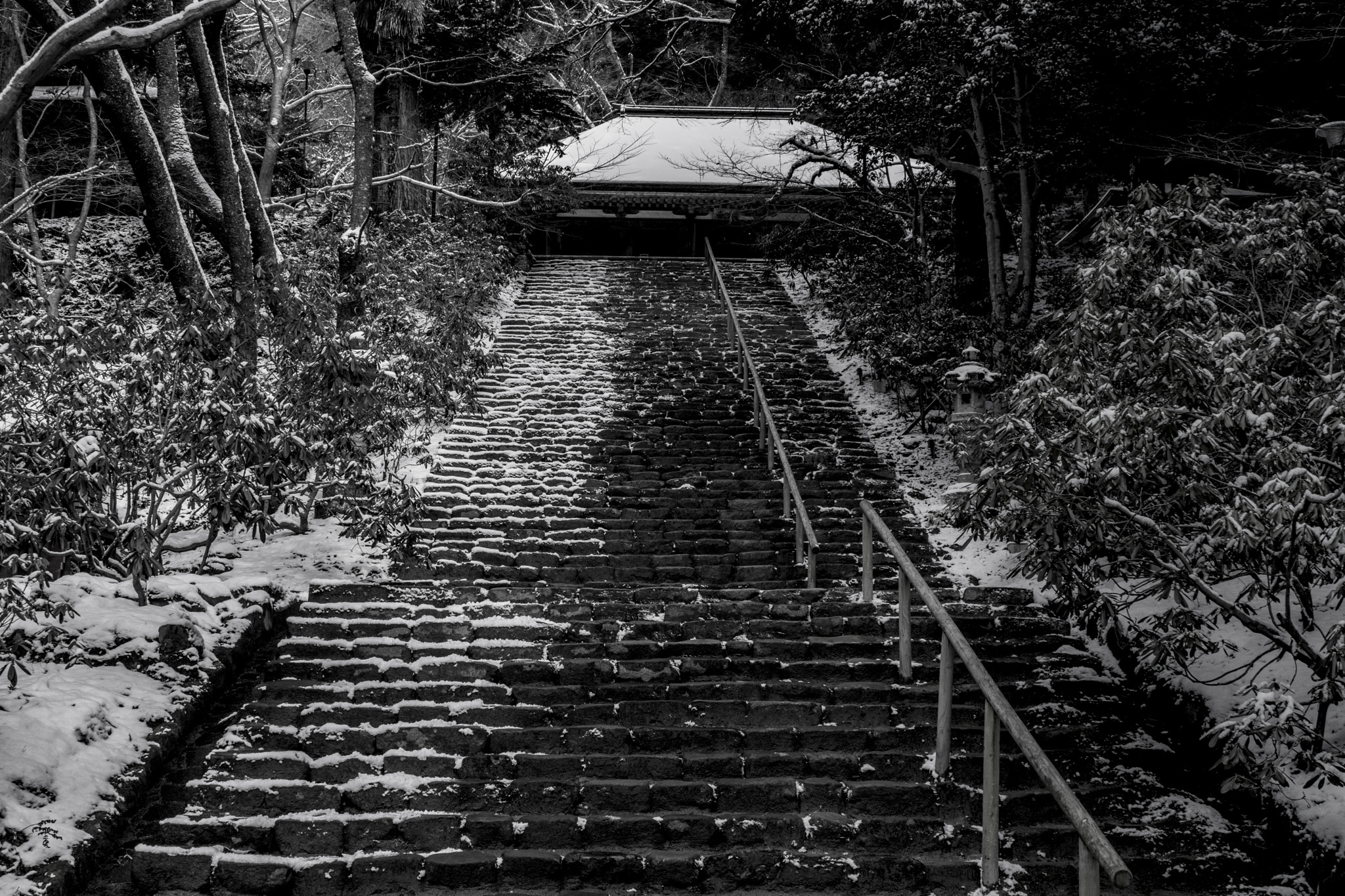 AF Zoom-Nikkor 28-105mm f/3.5-4.5D IF sample photo. 室生寺 photography