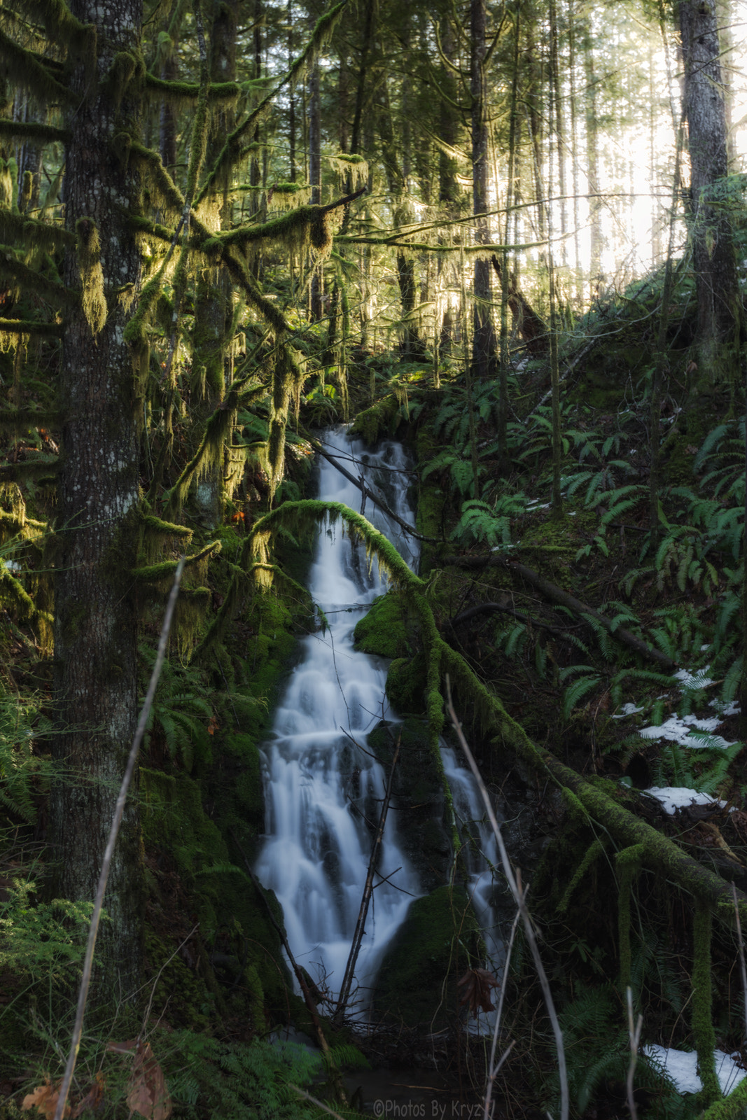 Canon EF 16-35mm F2.8L II USM sample photo. Rainforest waterfall photography