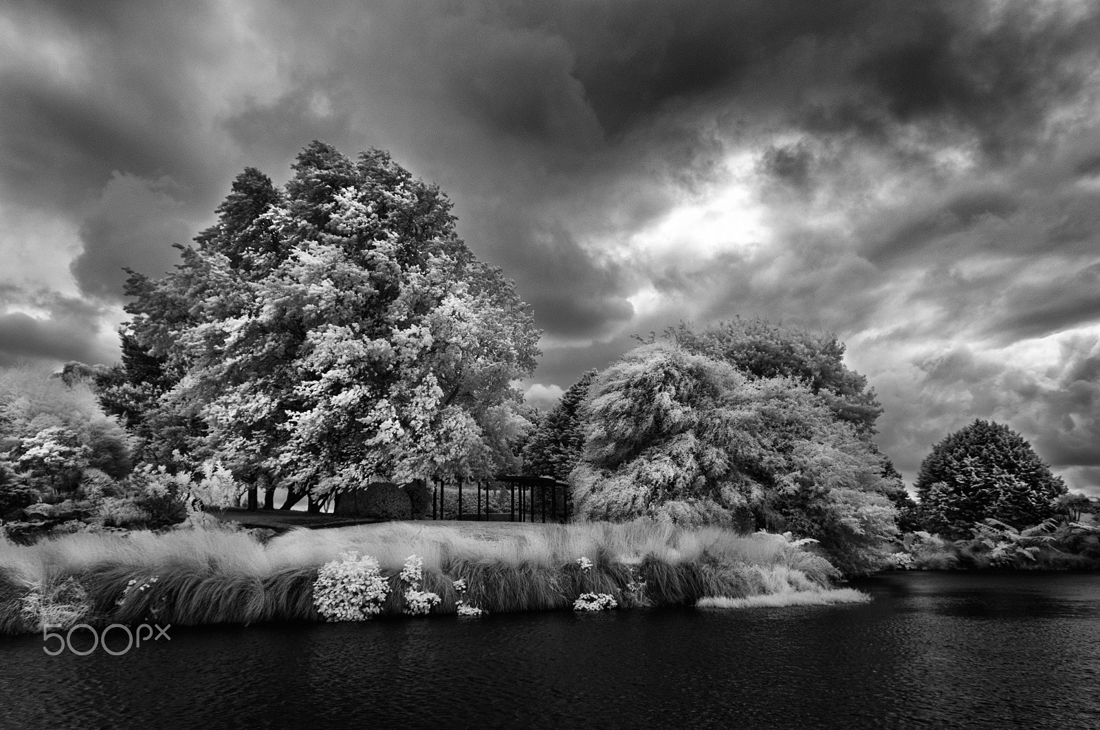 Nikon D300 sample photo. A moody day at lakeside photography